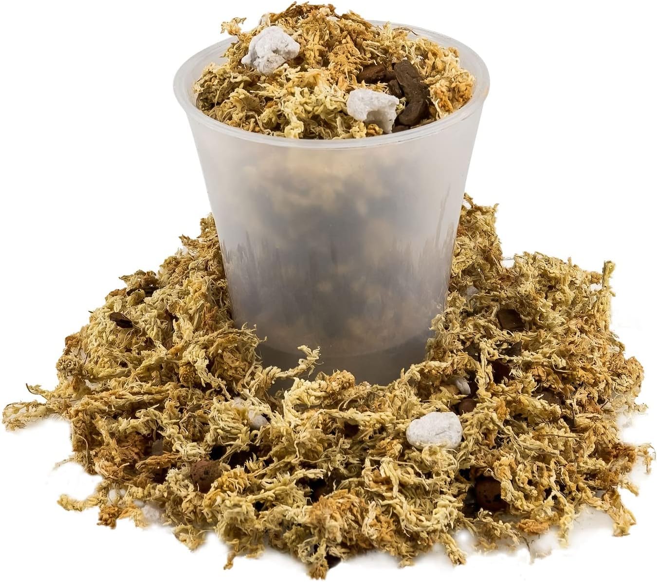 Premium Phalaenopsis Imperial Orchid Potting Mix - Hand Mixed in Small Batches | Great for Phalaenopsis of All Kinds