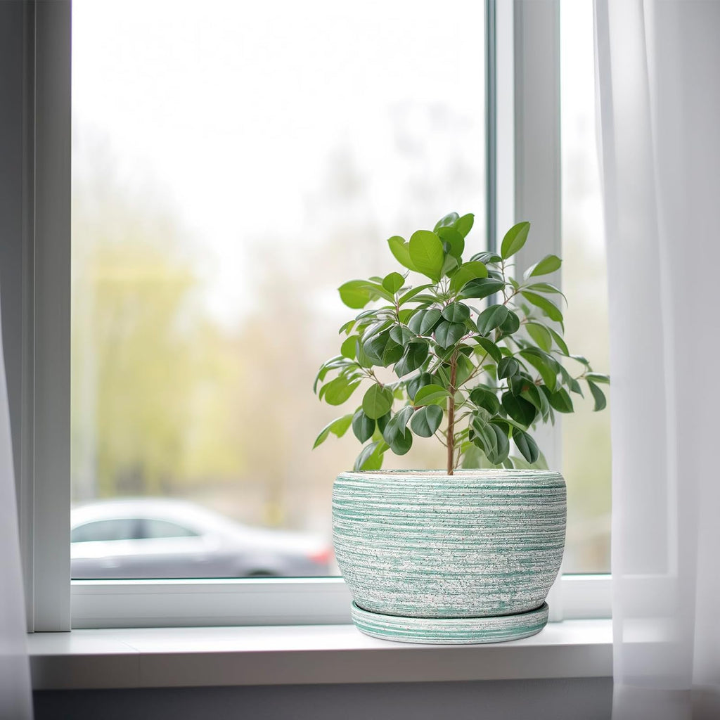 SQOWL Ceramic Planters for Indoor Plants - 8 inch Plant Pot Outdoor, Ceramic Flower Pot with Drainage Hole and Saucer