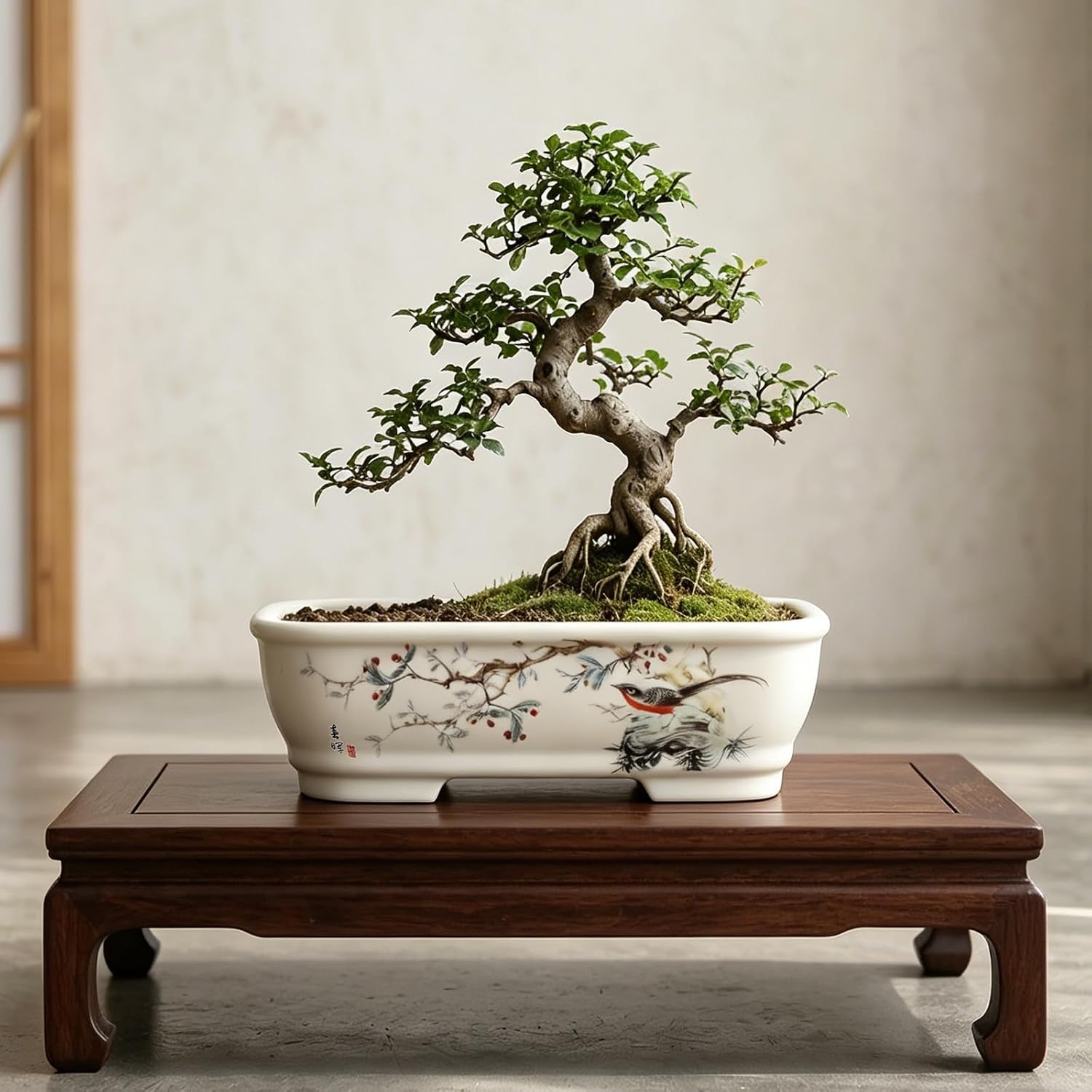 8" Bonsai Pots with Tray, Rectangular Planter in Blue & White | 8" glazed ceramic bonsai pots with tray, large shallow