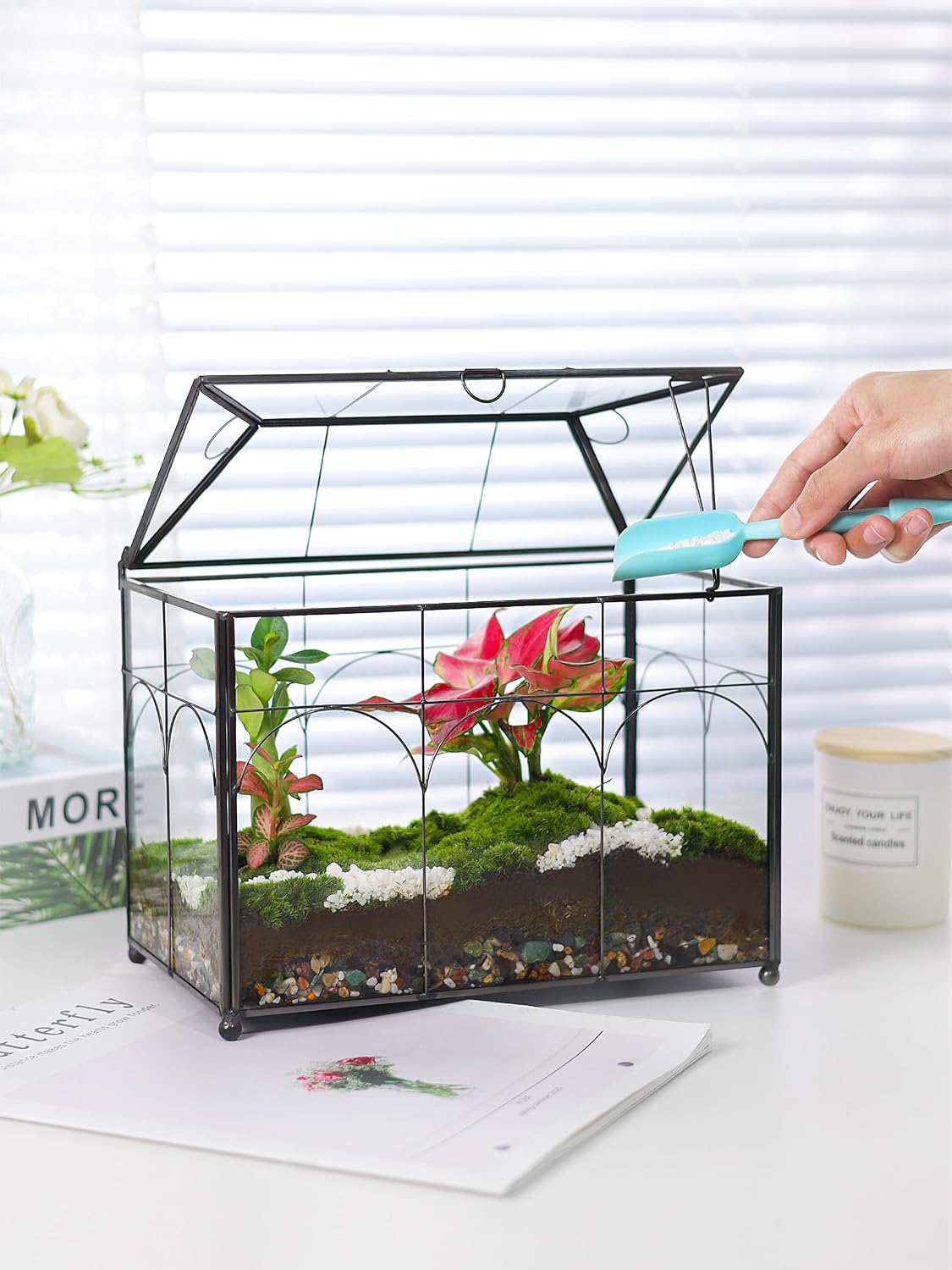 REDHUGO Glass Planter Terrarium with Lid, Indoor Display Box, Black | Handmade Glass Terrarium with Lid for Succulents