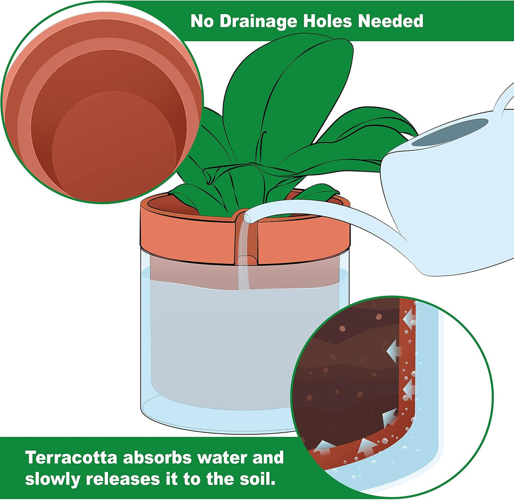 Phoenix Vine 8 Inch Self Watering Planter Pot, Terracotta Clay Pot with Glass Reservoir for Indoor Plants, Herbs