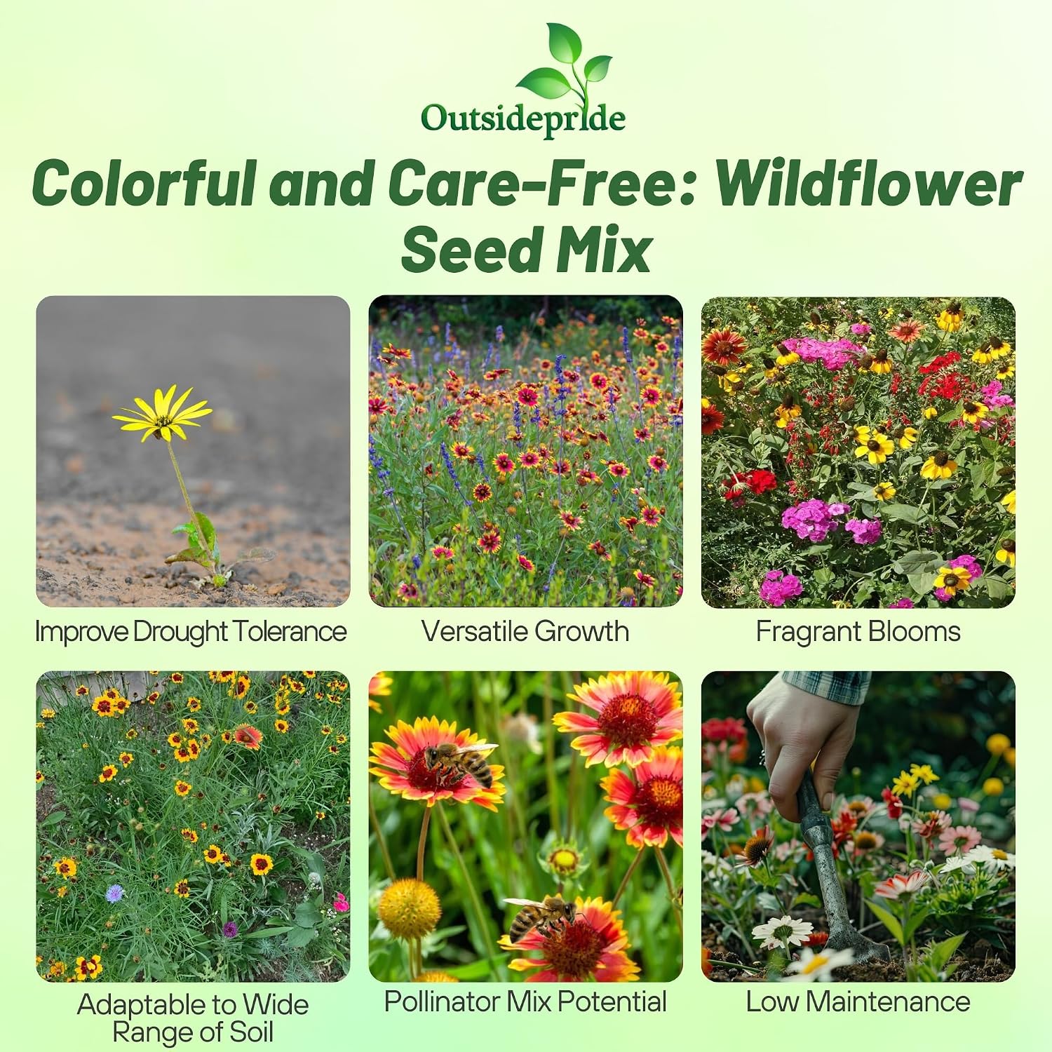 Outsidepride Southeast Wildflower Seed Mix - 1 lb Highly Adaptable, Easy to Grow, Low-Maintenance Mix of Annual &