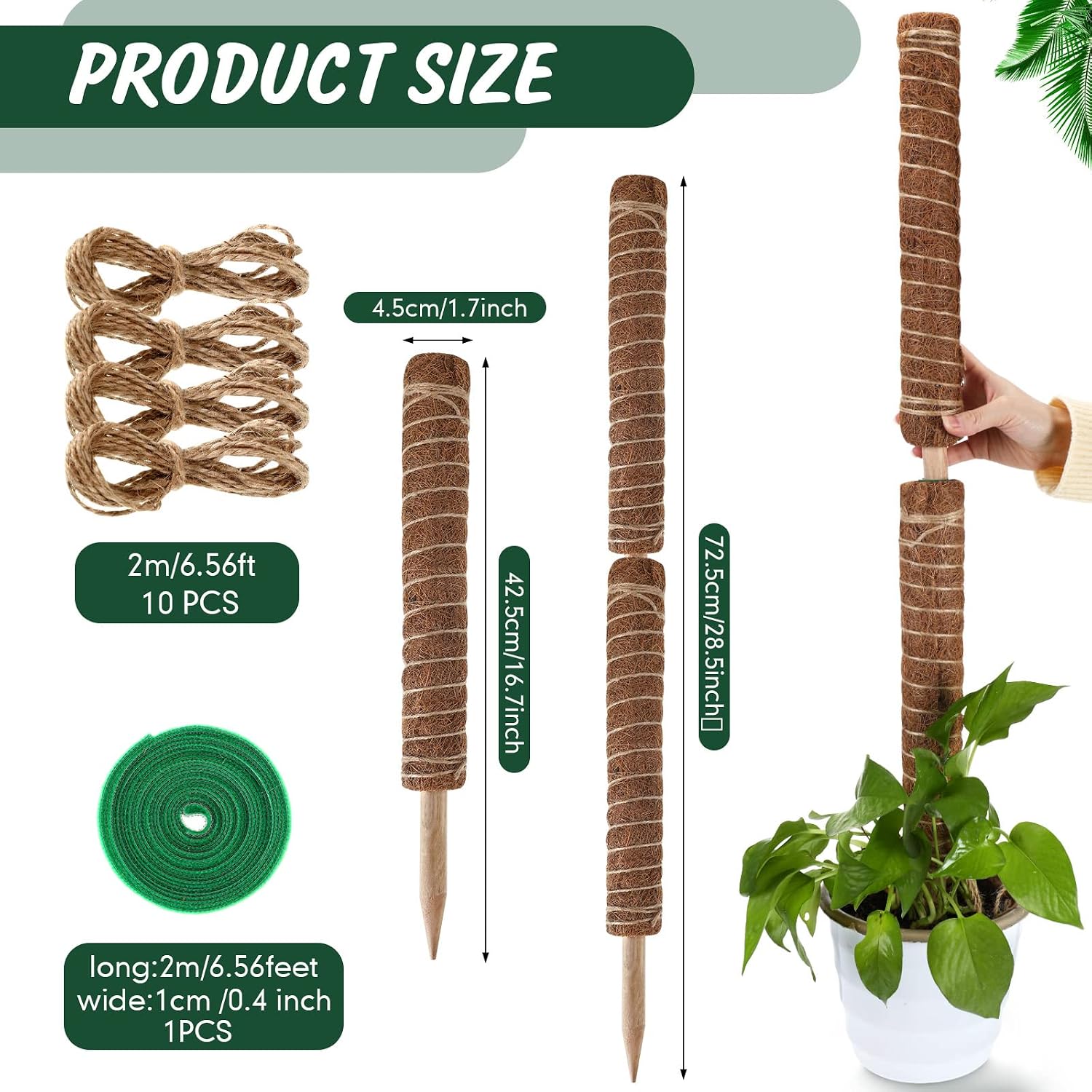 30 Pcs Moss Pole for Plants Monstera 16.5 Inch Coir Poles Bendable Monstera Plant Support with 10 Pcs 6.56 Feet Jute