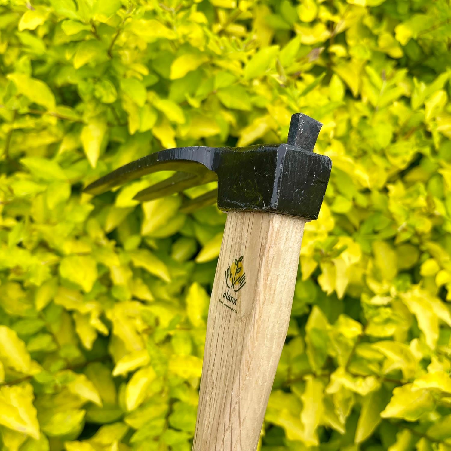 14 inch Japanese Hand Tiller/Rake for Garden, 3-tines Cultivator, Without Welding, Oak Handle, for Digging, Soil