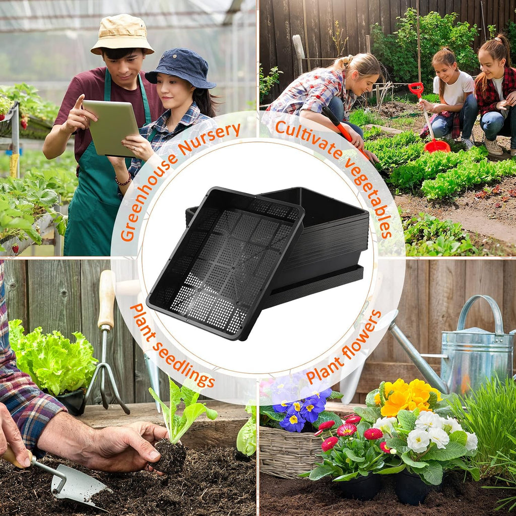 Aoriher 10 Set/20 pcs Mesh Bottom Trays and Trays mat, Soil Blocking Trays Seed Starting Trays Plastic Seedling Starter