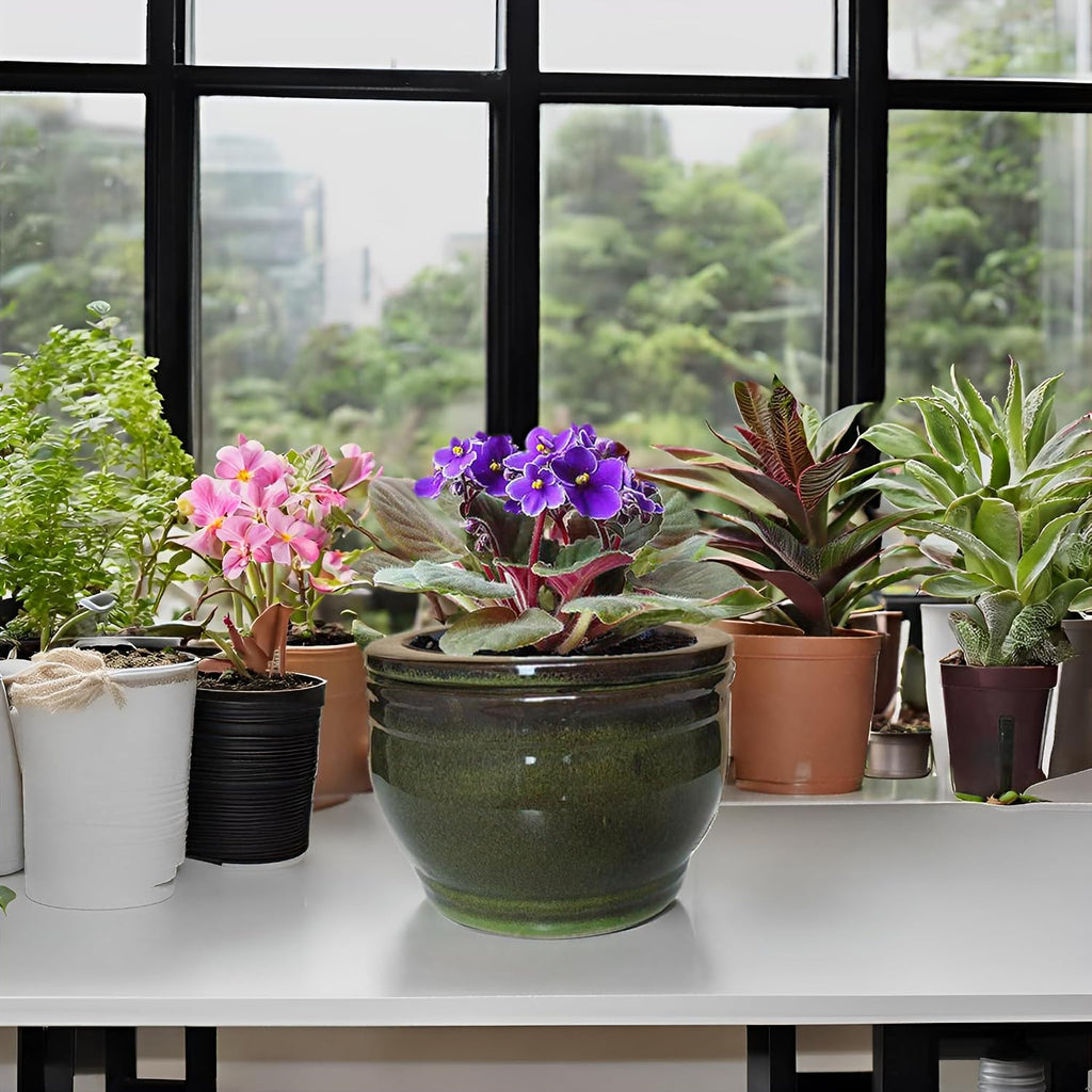 African Violet Pots Self Watering Round Ceramic Violet Pot (Olive drab, 6 inch)
