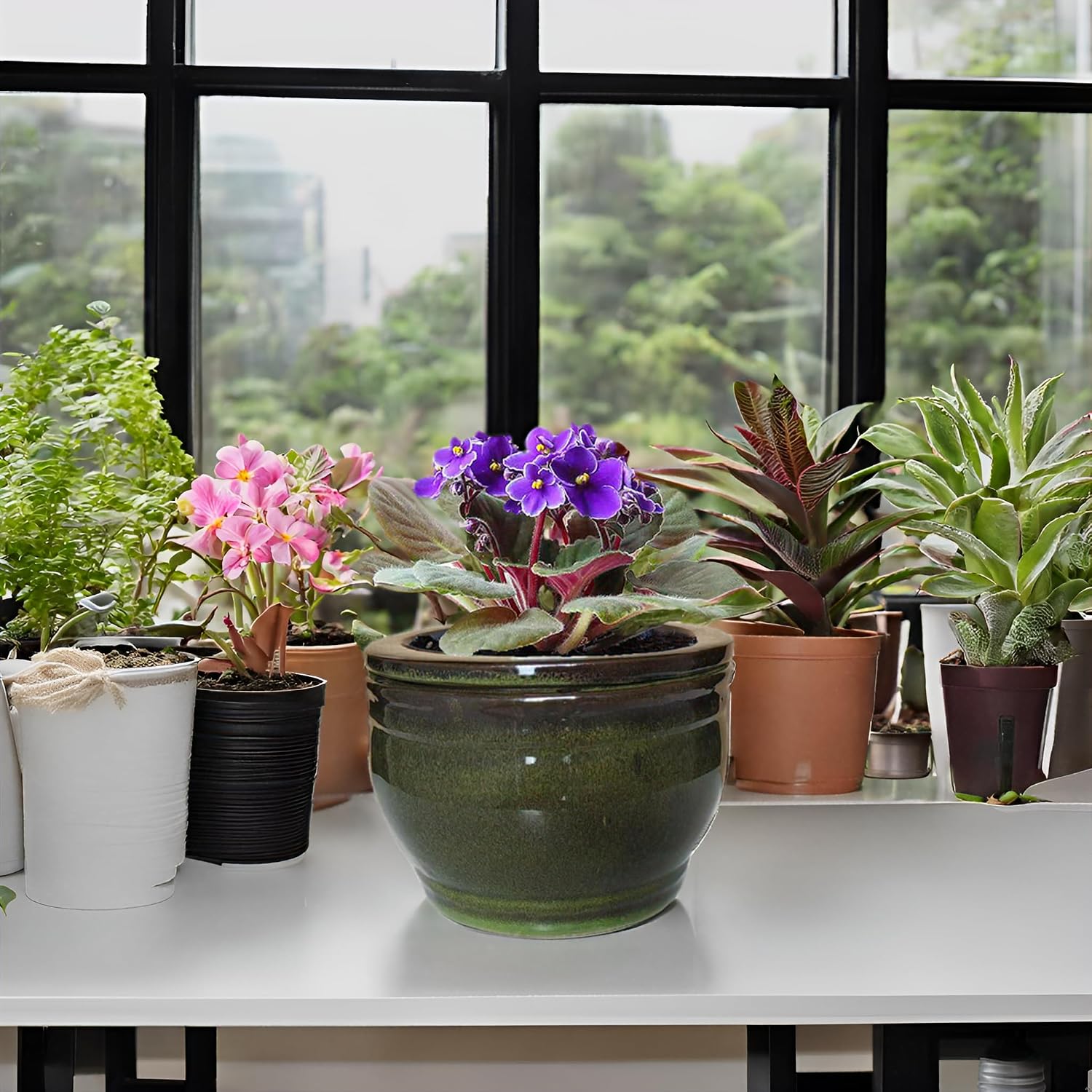 African Violet Pots Self Watering Round Ceramic Violet Pot (Olive drab, 6 inch)