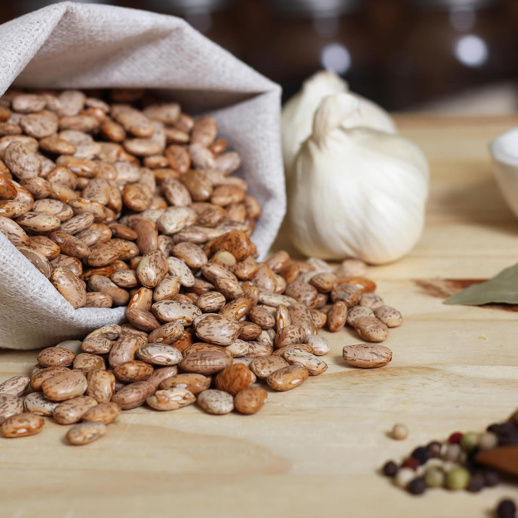 Organic Pinto Bean Seeds - USDA Organic, Non-GMO, Open Pollinated, Heirloom, USA Origin (5 Packets - 100 Grams - Approx