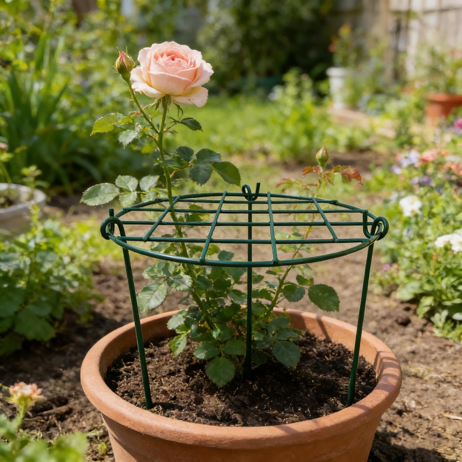MTB Supply 5 Pack 16 x 24 inch Peony Cages,Grow Through Plant Support Stakes, Flower Support Hoops Heavy Plants Brace
