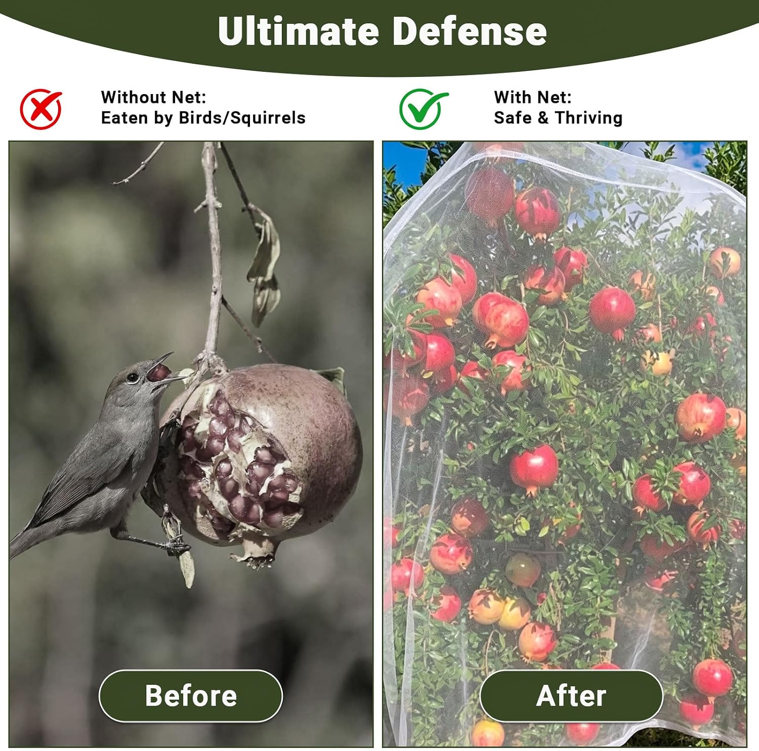10x10FT Fruit Tree Netting Cover, Insect & Bird Barrier-1PCS | 60-mesh net guards blueberries,tomatoes,apples from