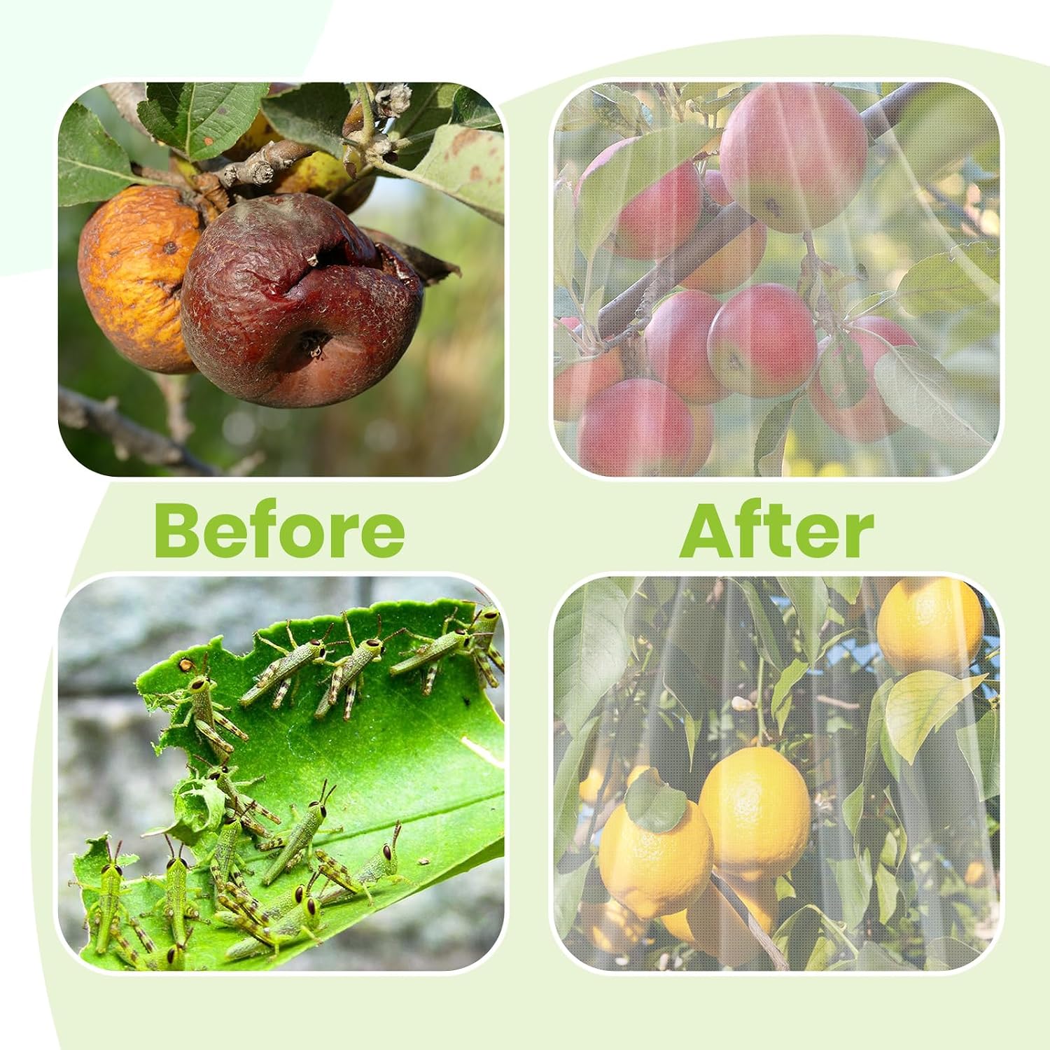 2Pcs Large 10x10FT Fruit Tree Netting with Zipper, Drawstring - Mesh Bags Covers for Garden Protection - Insect Bird