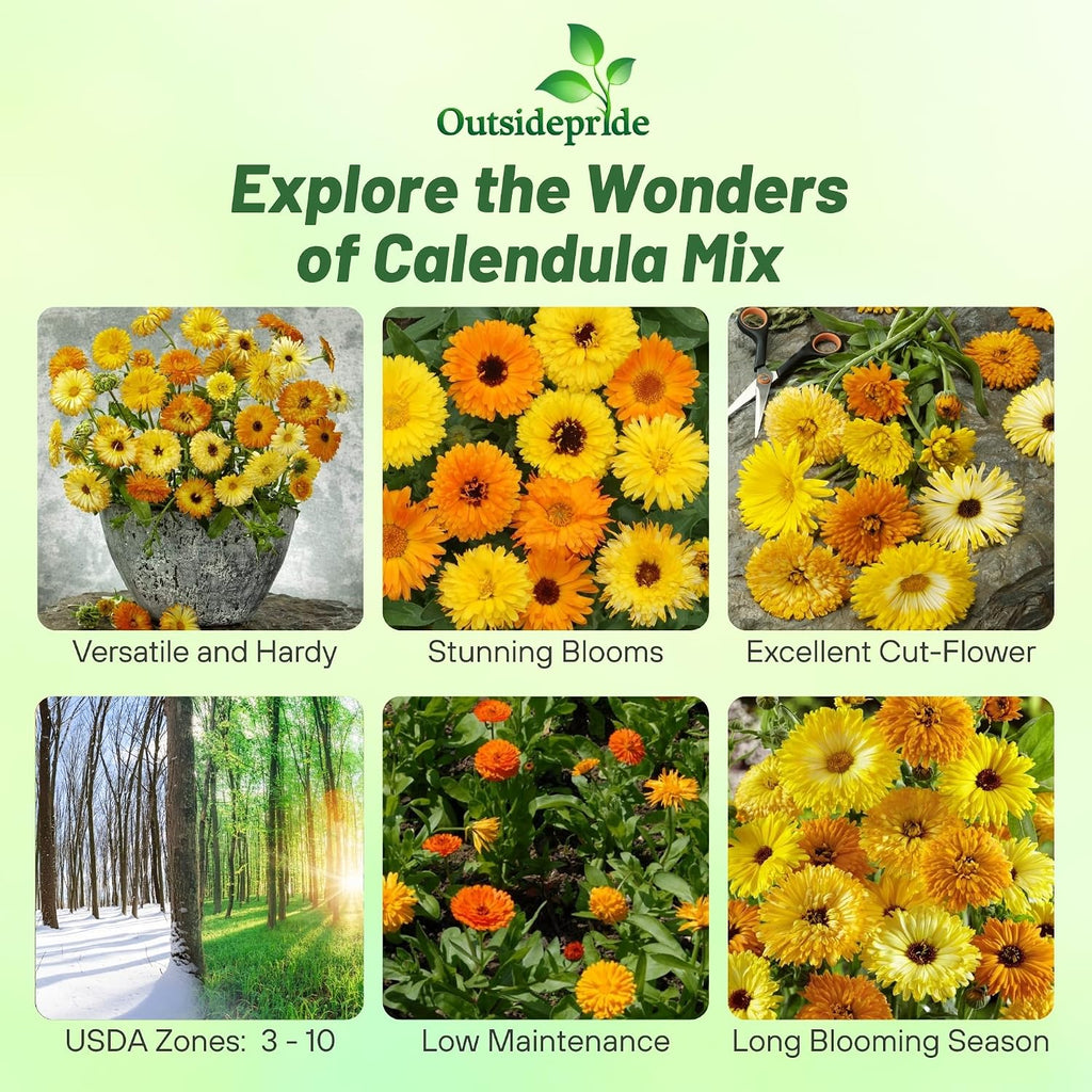 Outsidepride Mix Calendula Seeds - 5 lb. Annual Edible Flower Seeds for Planting for Dishes & Wellness Uses, with