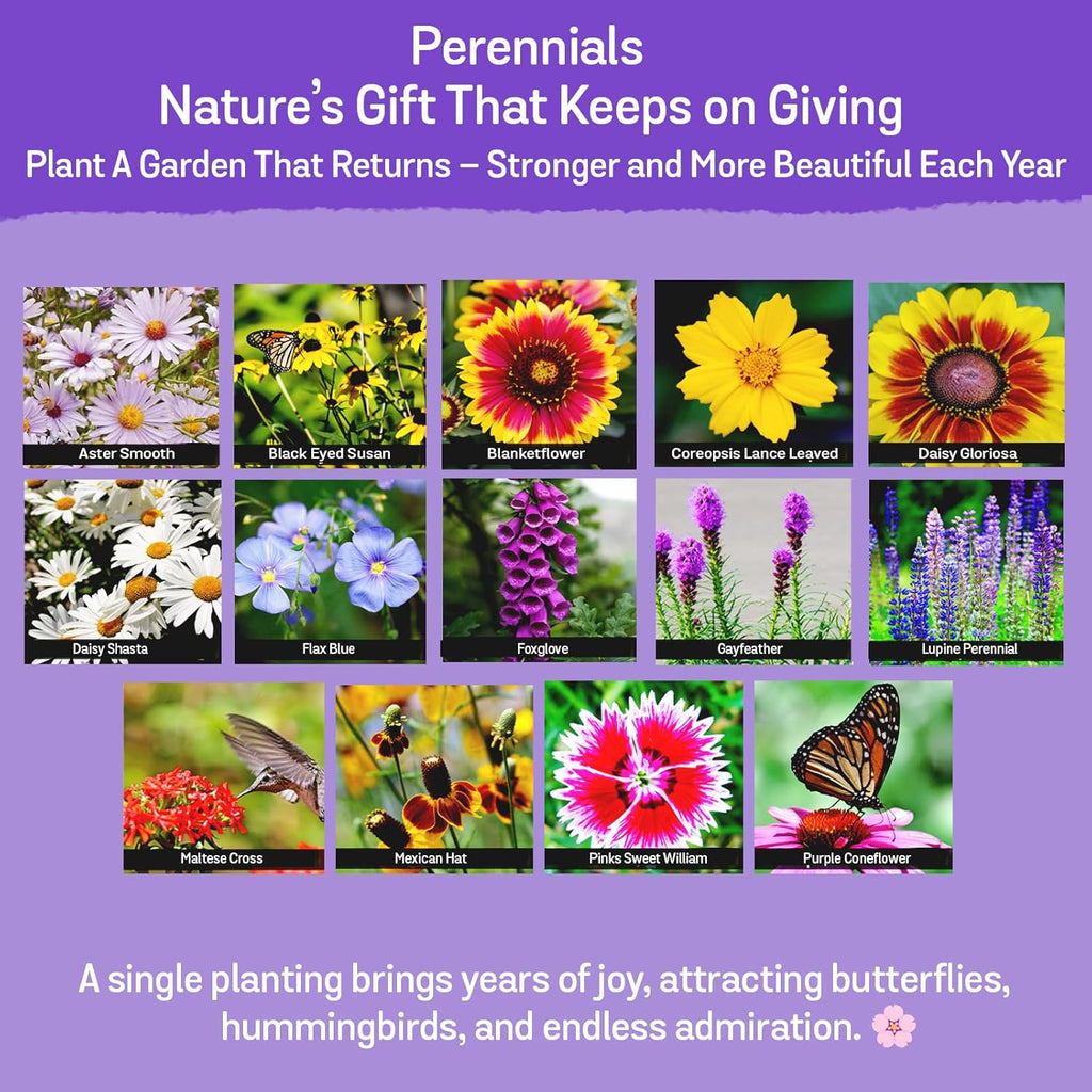 NatureZ Edge Wildflower Seeds, 1/2 lb, 340,000 Seed, 35 Variety Perennial & Annual Flower Seeds to Plant Outside, Bulk