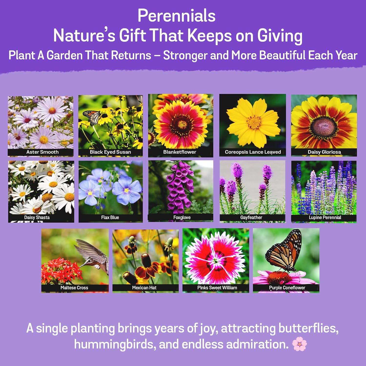 NatureZ Edge Wildflower Seeds, 1/2 lb, 340,000 Seed, 35 Variety Perennial & Annual Flower Seeds to Plant Outside, Bulk
