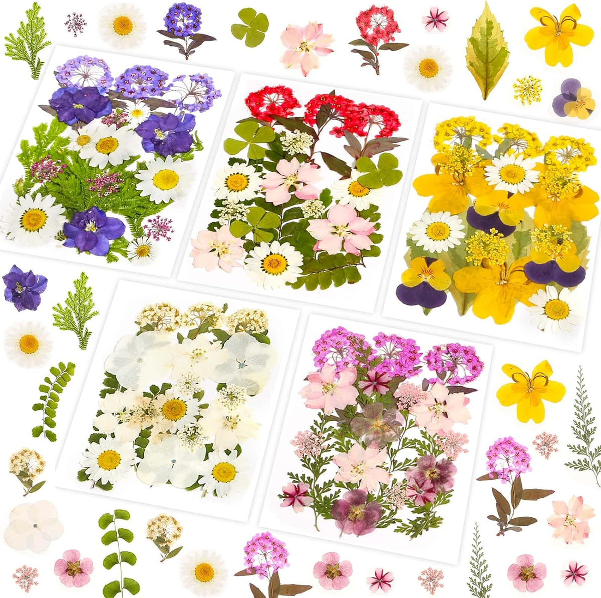 140pcs Dried Pressed Flowers Bulk, Natural Fall Pressed Dried Flowers with Tweezer for DIY Crafts Resin Mold Candles Cake Bridal Scrapbooking Supplies