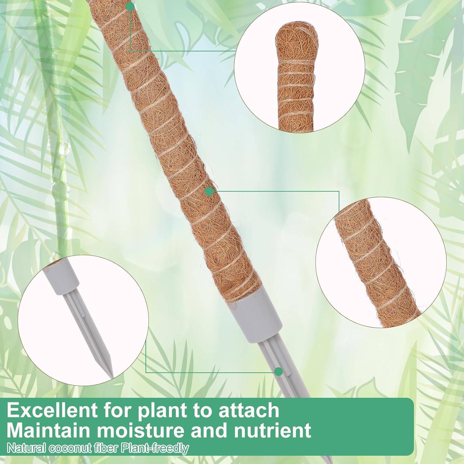 3 Pack Moss Pole, 50 Inch Monstera Plant Support, Tall Moss Poles for Climbing Plants Indoor DIY, Coco Coir Plant Pole