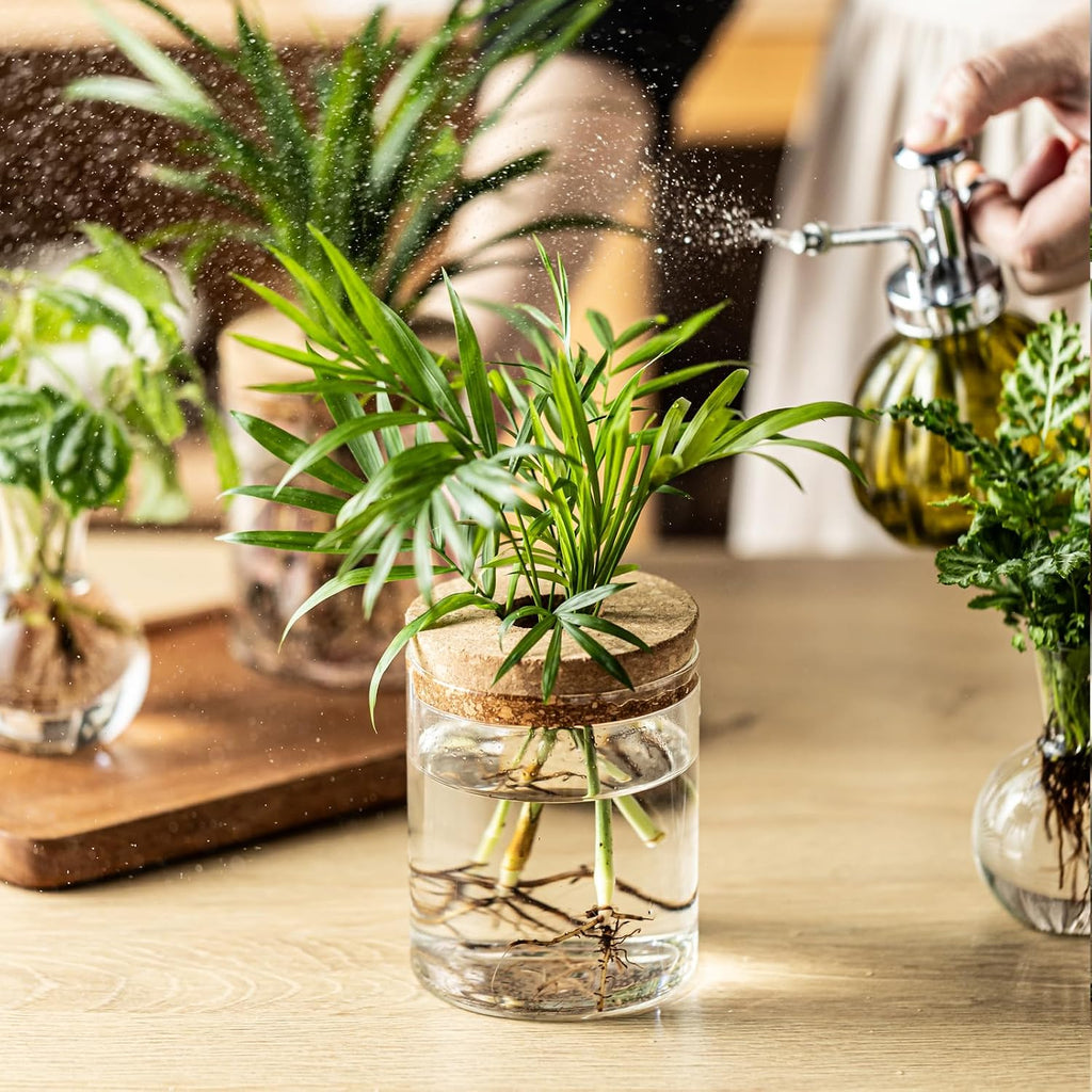Plant Propagation Stations, 2 Style Glass Planter Terrariums, Propagation Vases for Plant, Plant Propagation Jars for