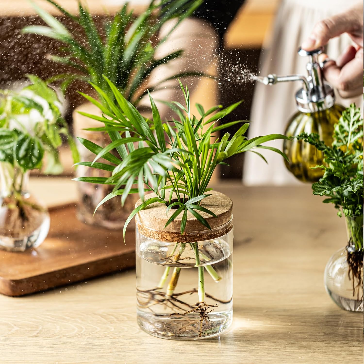 Plant Propagation Stations, 2 Style Glass Planter Terrariums, Propagation Vases for Plant, Plant Propagation Jars for