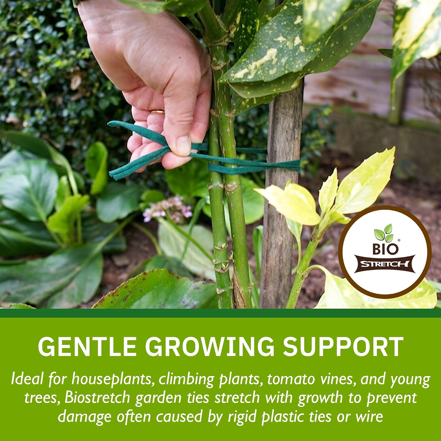 Soft Garden Plant Ties for Indoor & Outdoor Plants - Strong & Stretchy Cut-to-Length Plant Tape for Climbing Plants