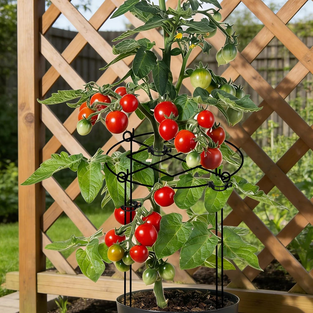 4 Pack Peony Cages and Supports, 11.5" x16" Heavy Duty Metal Plant Support | Rust-Proof Grow Through Flower Cage