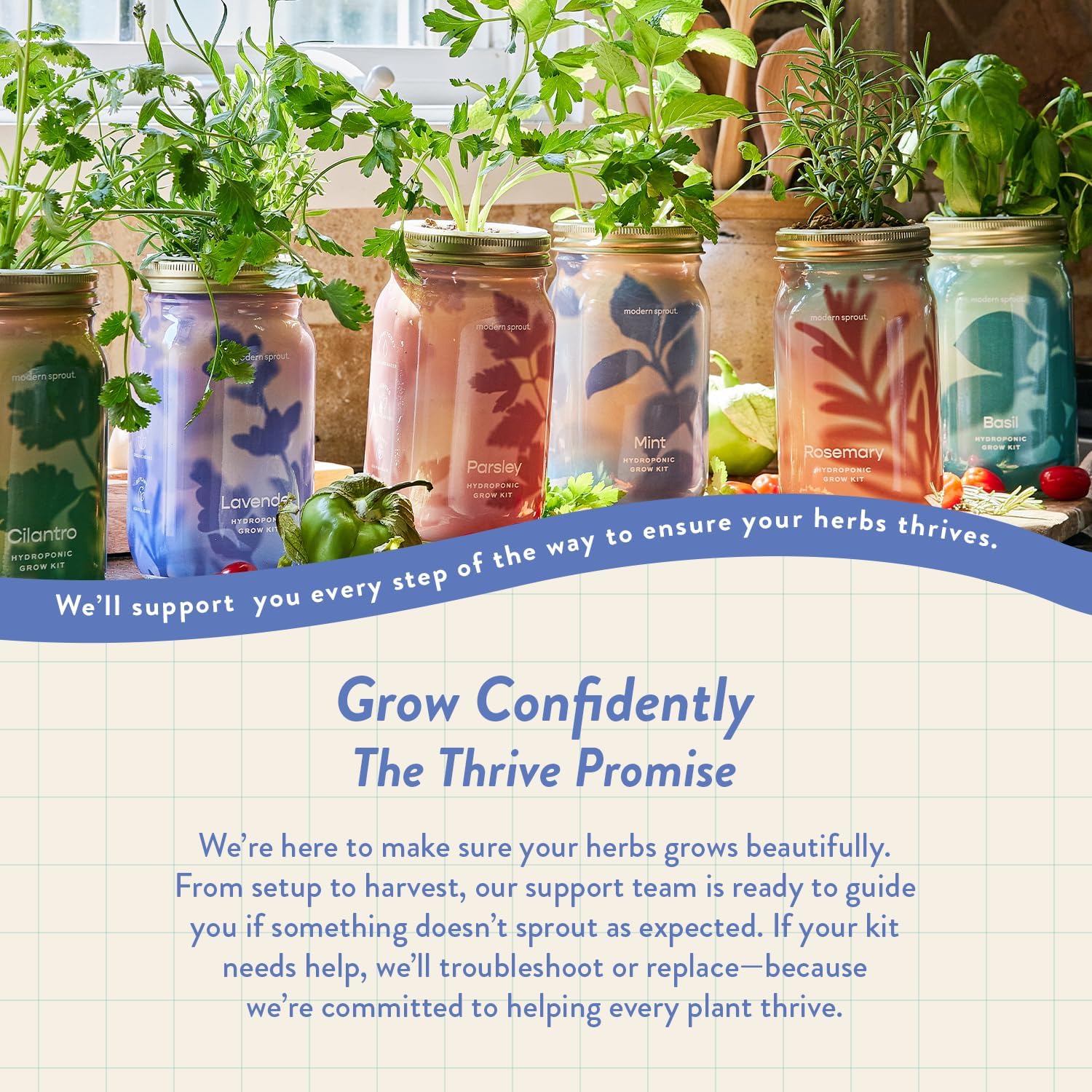 Modern Sprout MasonJar+Replant Kit-Self-Watering Hydroponic System-Lavender | Growing System Kit w/Organic Herb Seeds