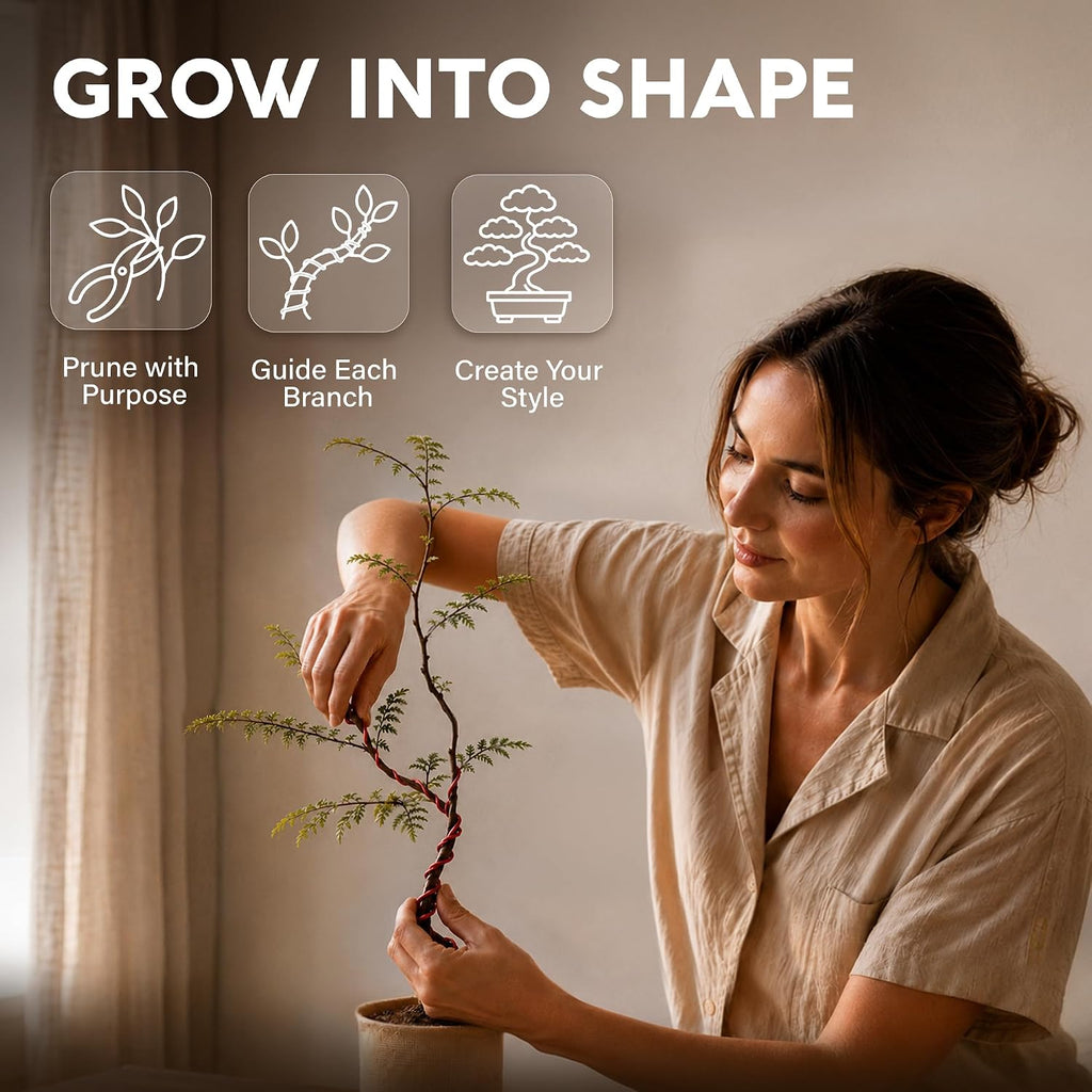 Bonsai Tree Kit Deluxe - Growing 5 Unique Japanese Bonzai Trees | Complete Indoor Bonsai Starter Kits for Growing Trees