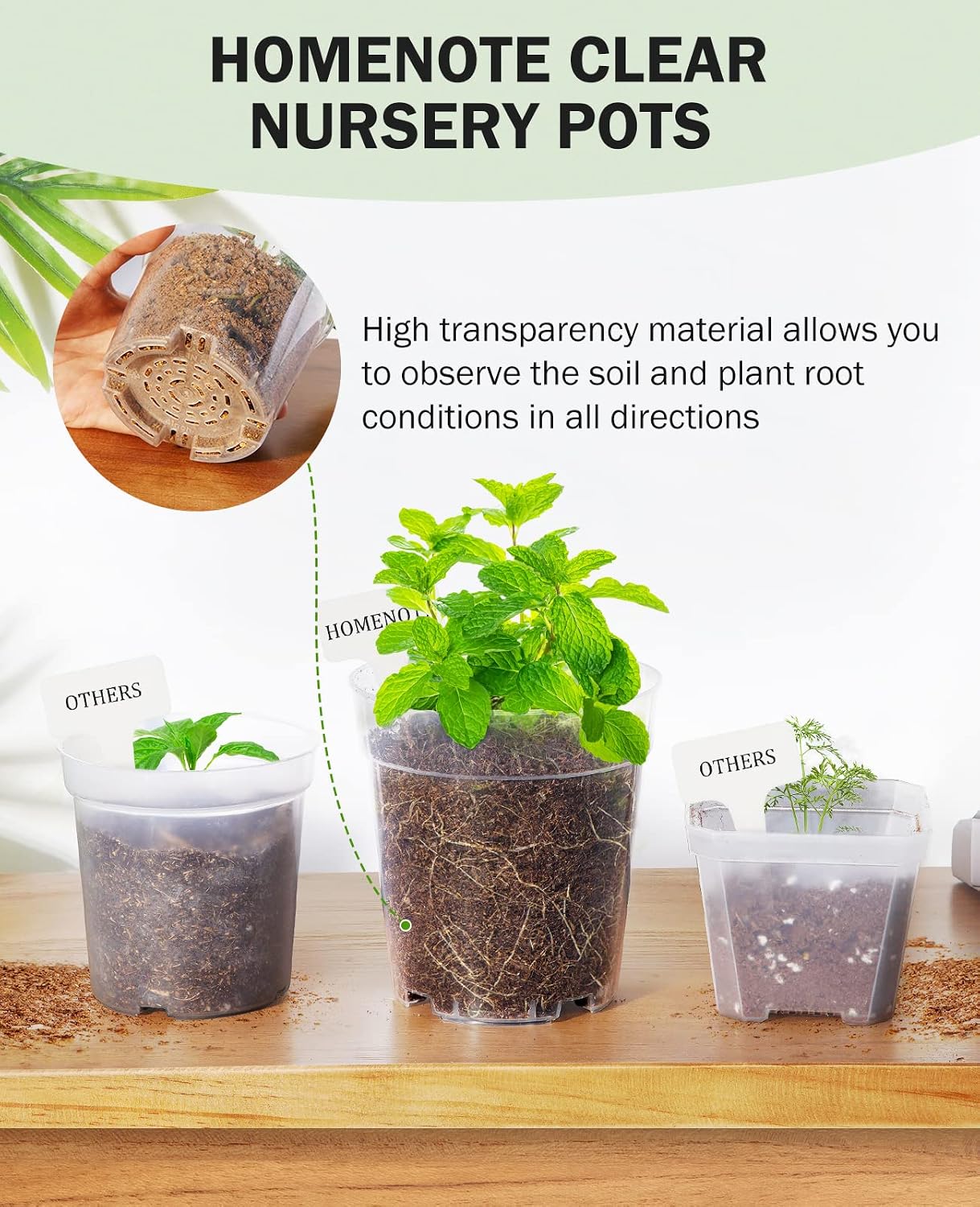 4 Inch Clear Nursery Pots for Plants with 20 Plant Labels (60 Pcs) | Multiple drainage holes and a raised base support