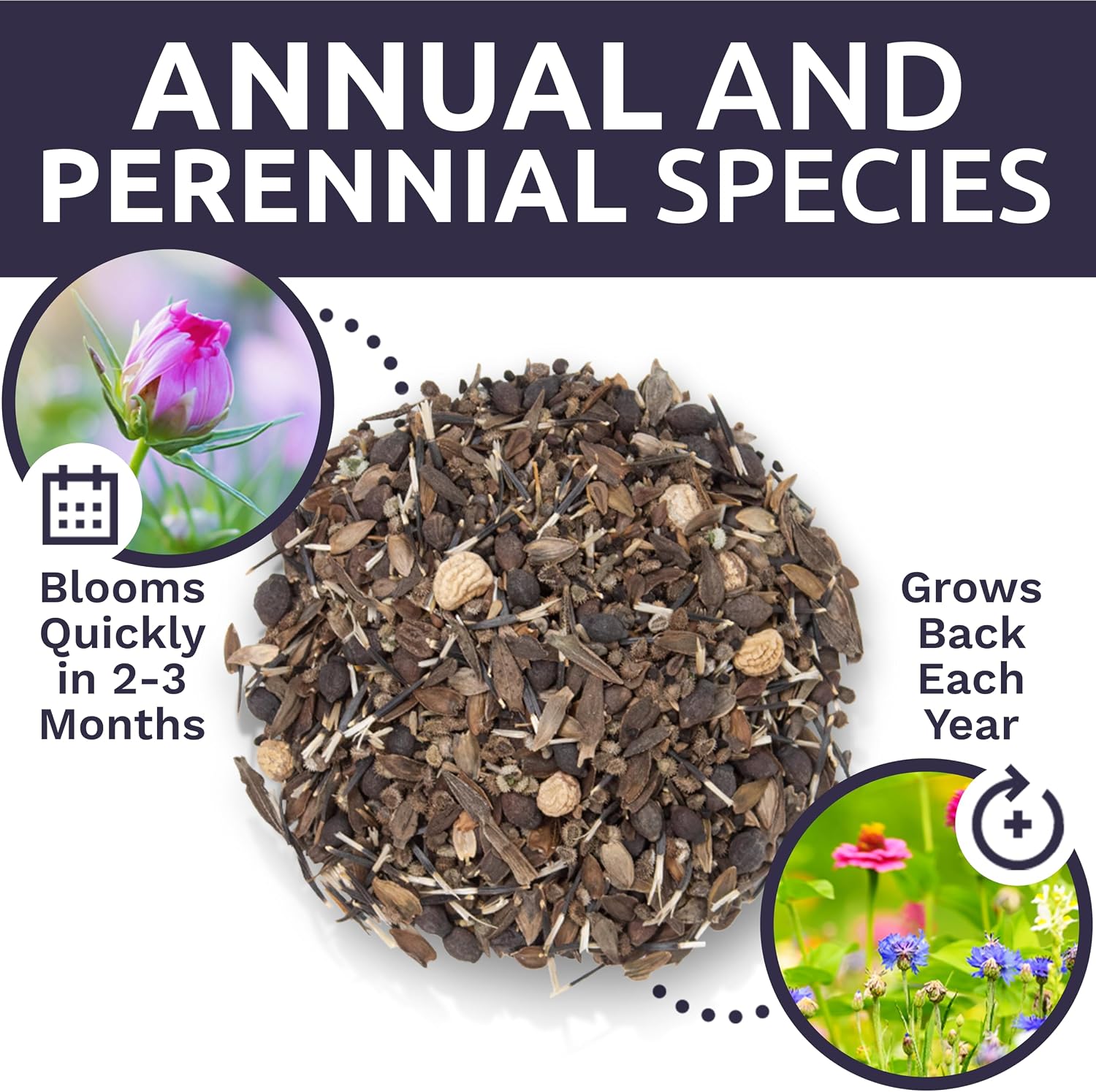 Bulk Wildflower Seeds Butterfly and Hummingbird Mix - 1 Pound Bag - Over 120,000 Open Pollinated Annual and Perennial