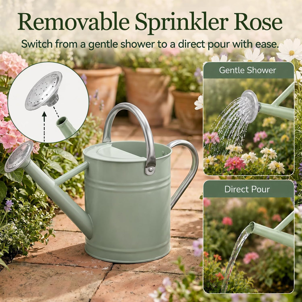 1 Gallon Metal Watering Can for Indoor Outdoor Plants, Cream Green | Removable spout switches between gentle shower and