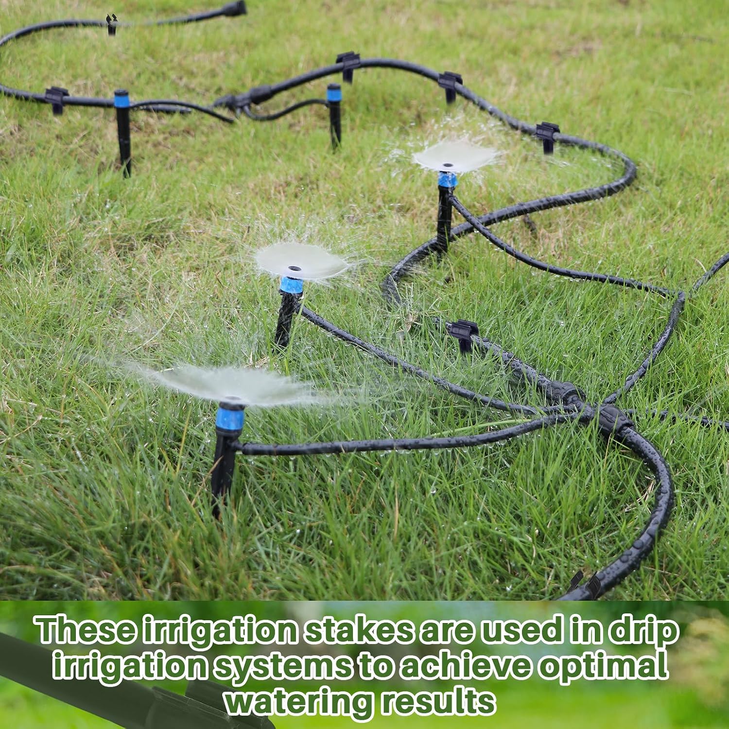 50 Pcs Irrigation Drip Support Stakes 1/2 Inch Tubing Hose Holder, Pipe Universal Drip Lines Tubing Hose for Gardening