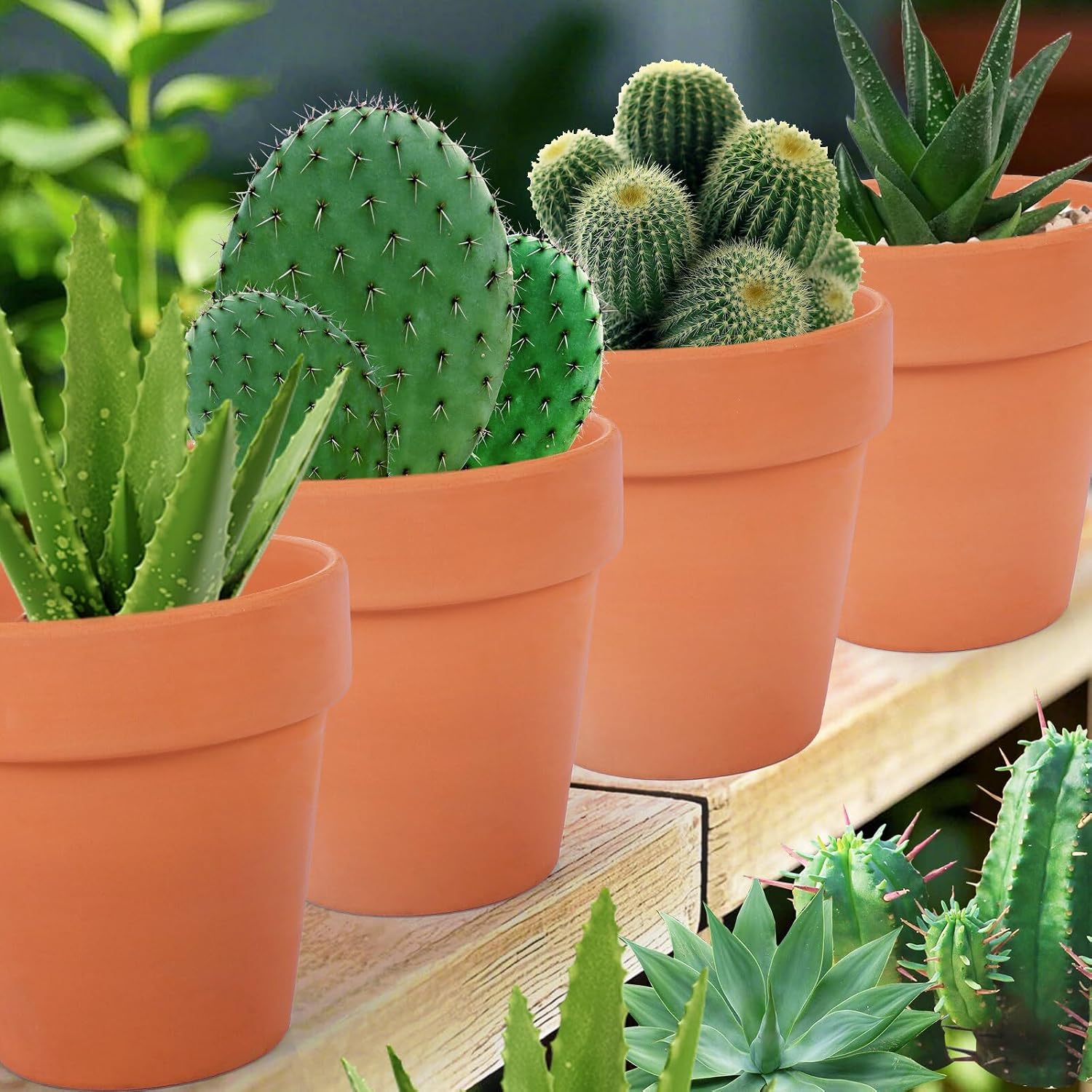 26 Pack Terra Cotta, 3inch Small Clay Flowerpots with Drainage Hole, Terracotta Pot for Indoor Outdoor Plant, Great for