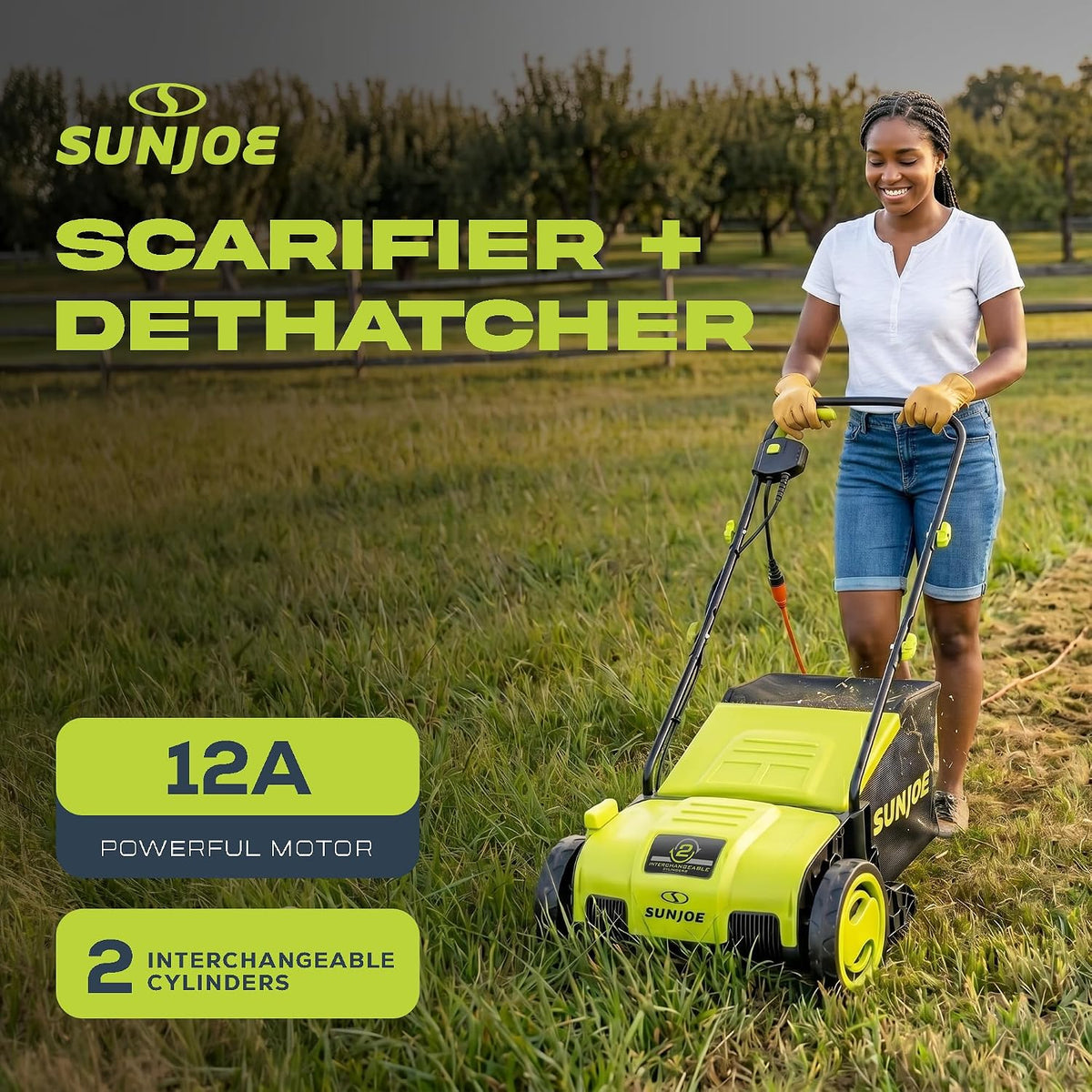 Sun Joe Corded Electric Lawn Dethatcher and Scarifier, 12-Amp, 12.6-Inch Cutting Width - Heavy-Duty Yard Trimmer and