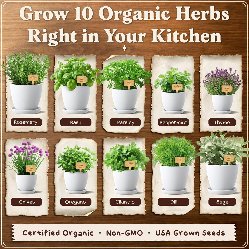 Organic Non-GMO Herb Seeds for Planting (Herb Garden Starter Kit) | For Indoor or Outdoor Growing; USDA Certified