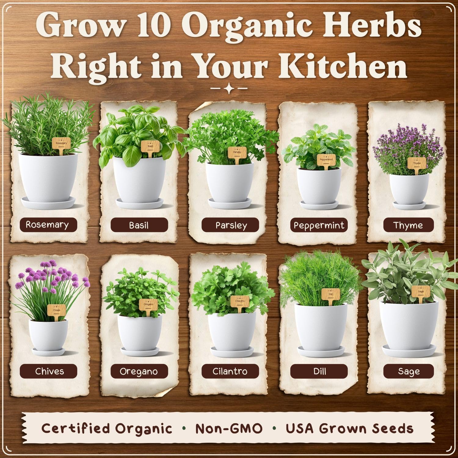 Organic Non-GMO Herb Seeds for Planting (Herb Garden Starter Kit) | For Indoor or Outdoor Growing; USDA Certified