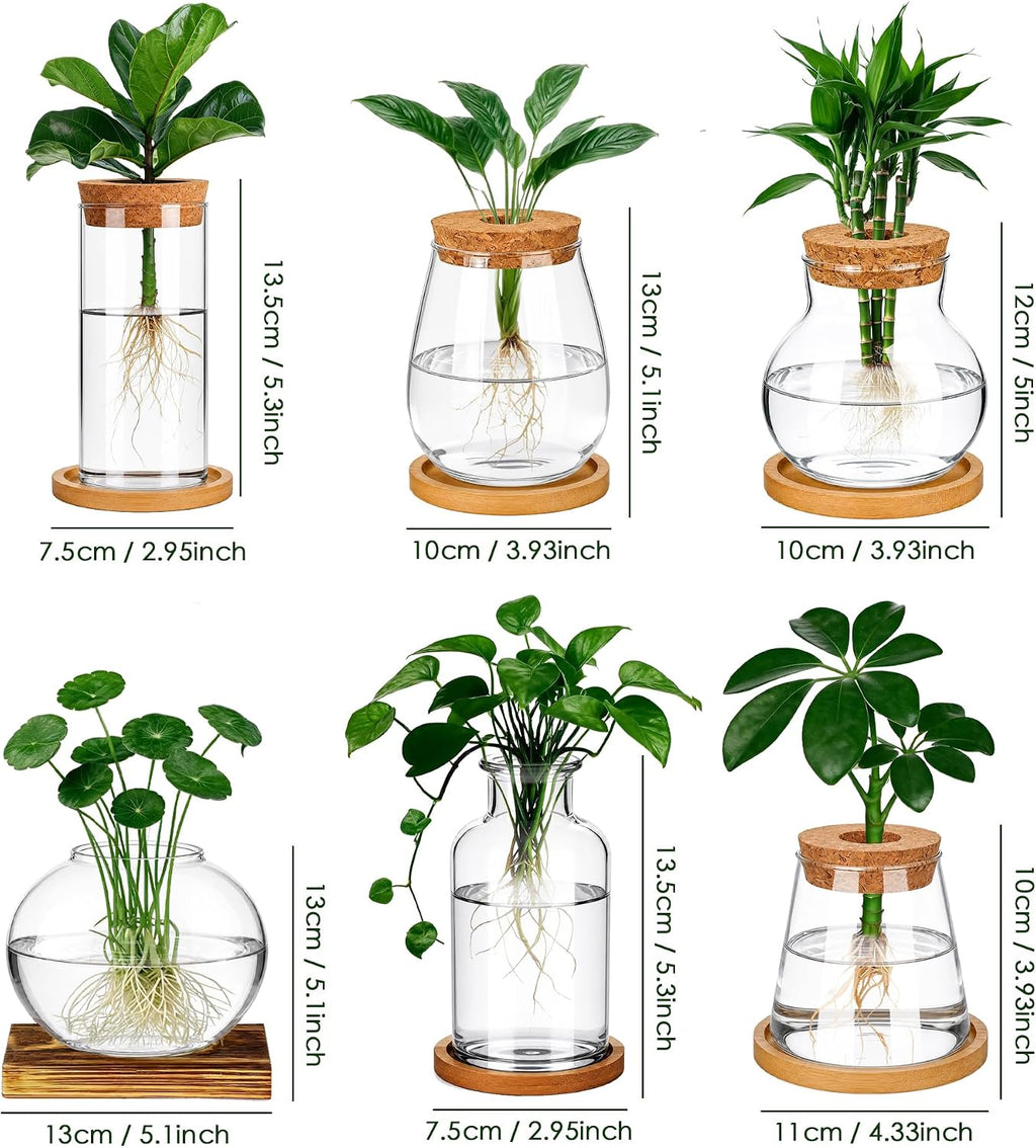 6 Pcs Plant Propagation Station Set, Glass Propagation Vases for Plants with Wooden Lids & Bamboo Stands, Hydroponic