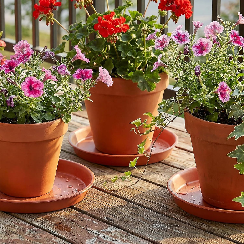 12 Pack Thickened 12 Inches Plastic Plant Pot Saucers, Plant Saucer Drip Tray with White Plant Labels, Flower Pot Tray