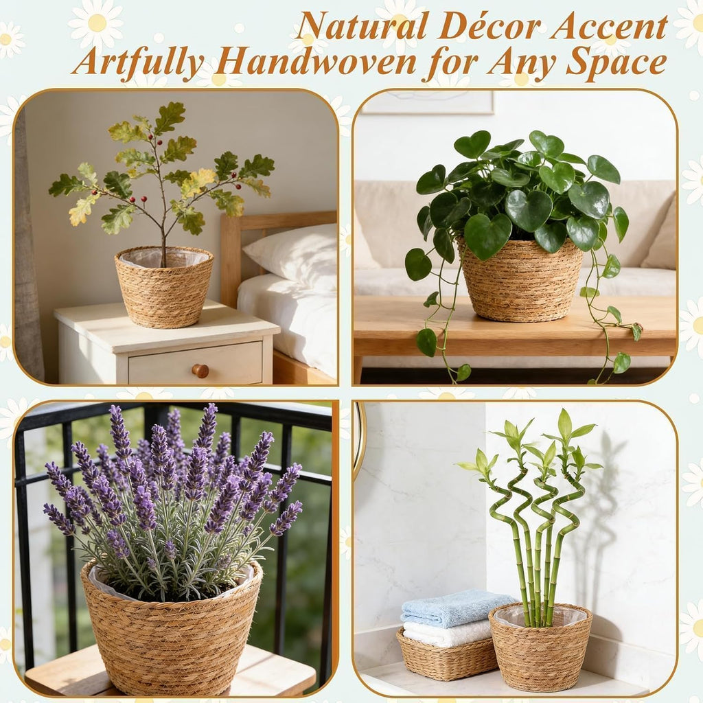 2PCS Seagrass Plant Basket for Indoor and Outdoor,Wicker Planter Basket with Liner for 6 inch Pot,Indoor Plant Pot