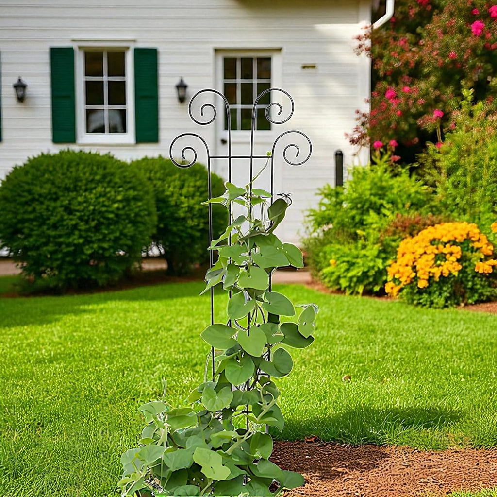 Hosley's 48" High Set of 2 Wave Iron Trellis Ideal Gift for Floral Arrangements Wedding or Party and Use Next to