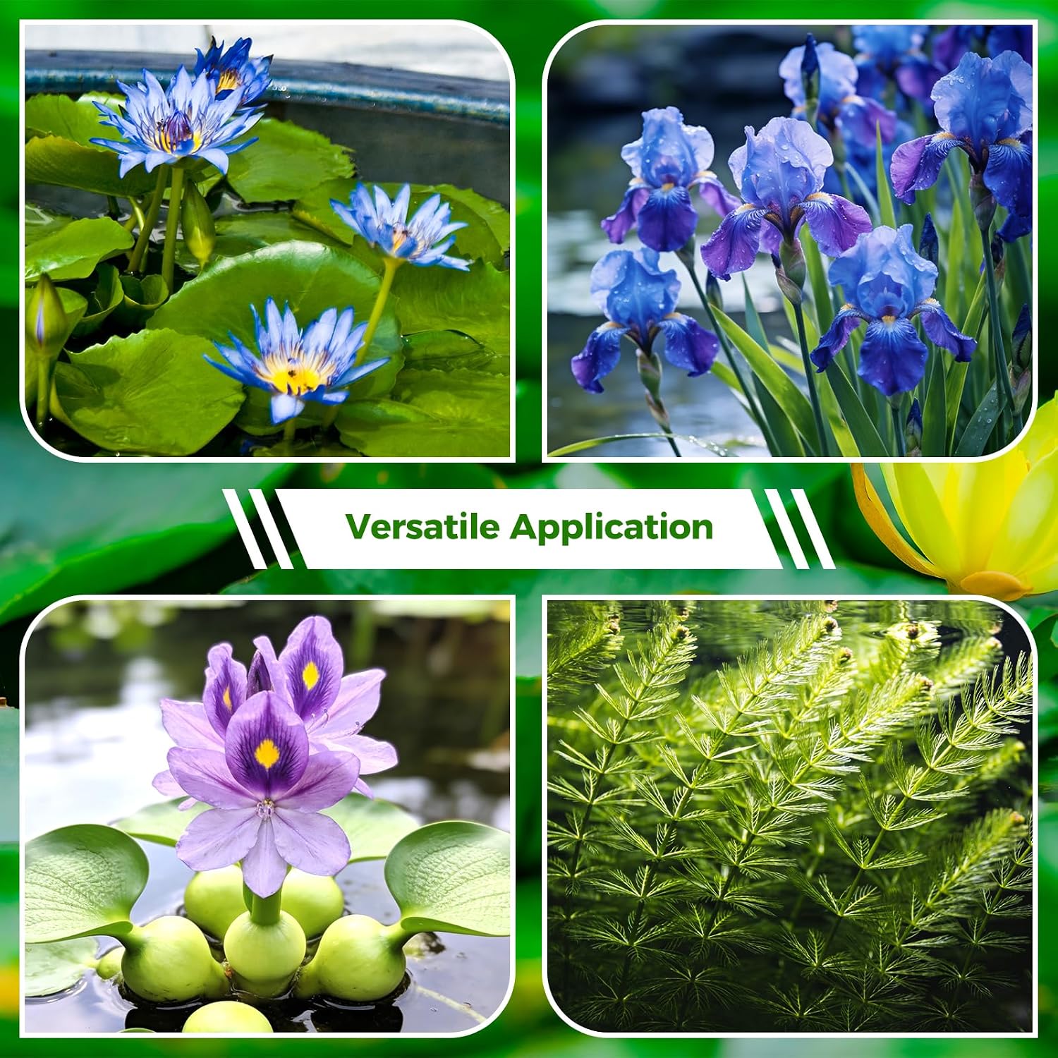 Aquatic Plant Soil for Water Lily & Lotus – Clay-Based, Nutrient-Rich | Pond Plant Growing Medium, Multi-Mineral Blend