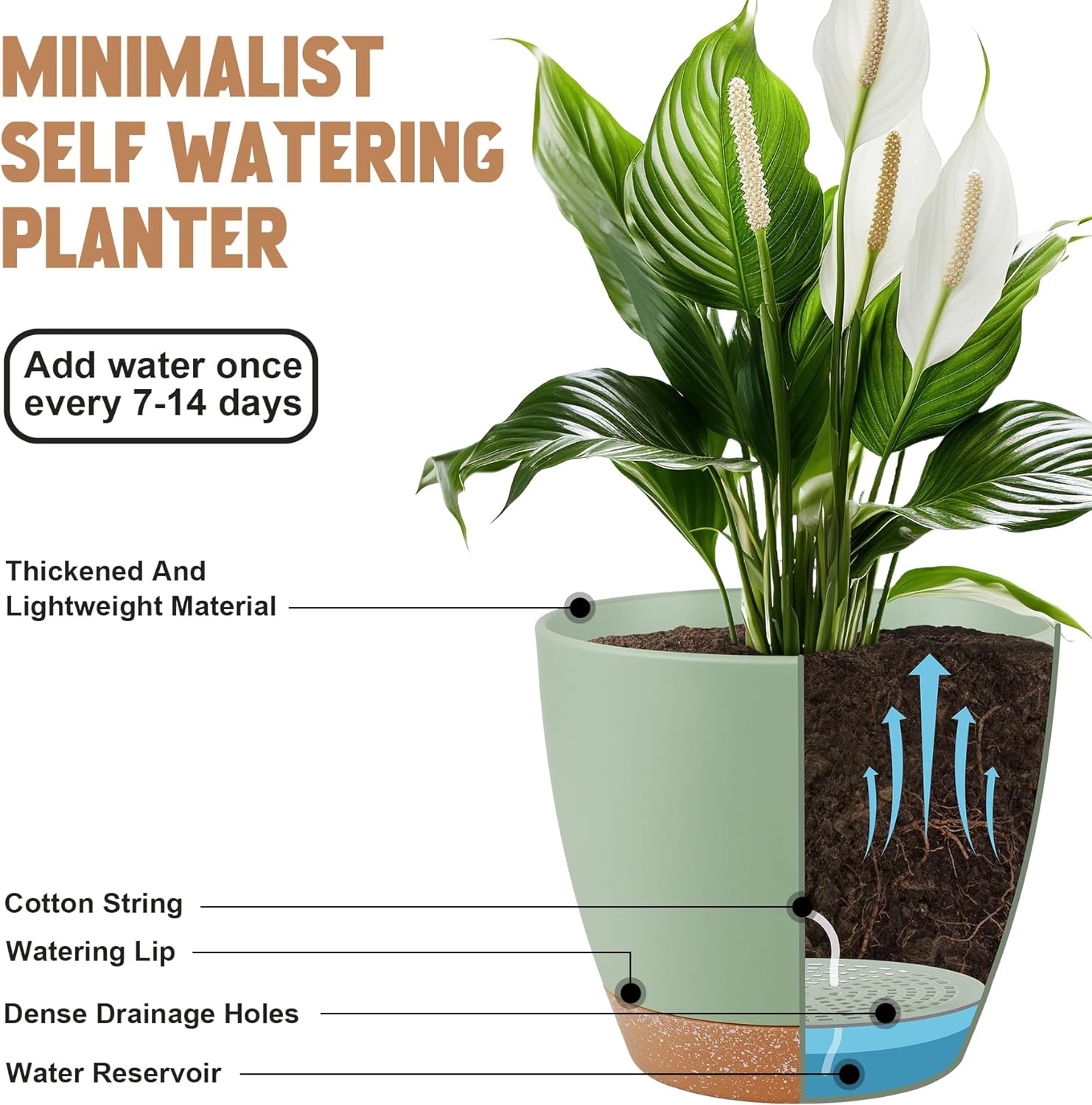 QRRICA Plant Pots 8/7/6.5/6/5.5/5 Inch Self Watering Pots, Set of 6 Plastic Planters with Drainage Holes and