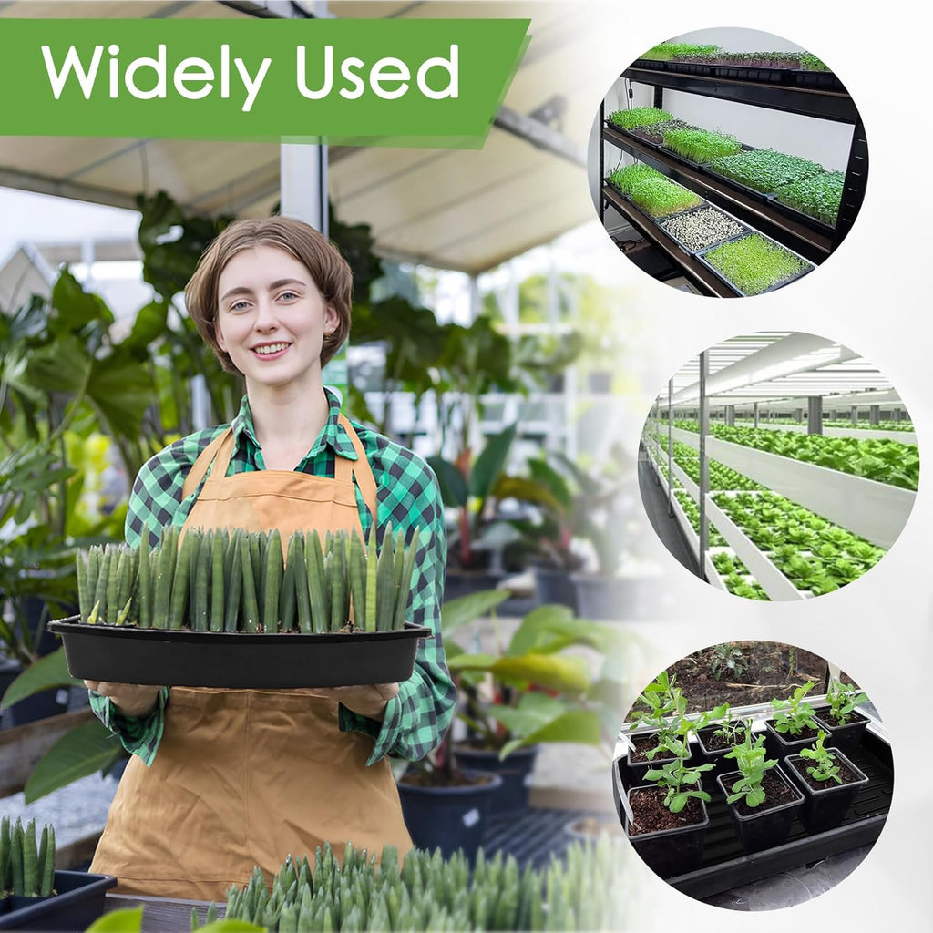 6 Pack Microgreens Growing Kit, Microgreens Trays for Indoor Gardening | 6 reusable trays, 12 hemp fiber grow mats