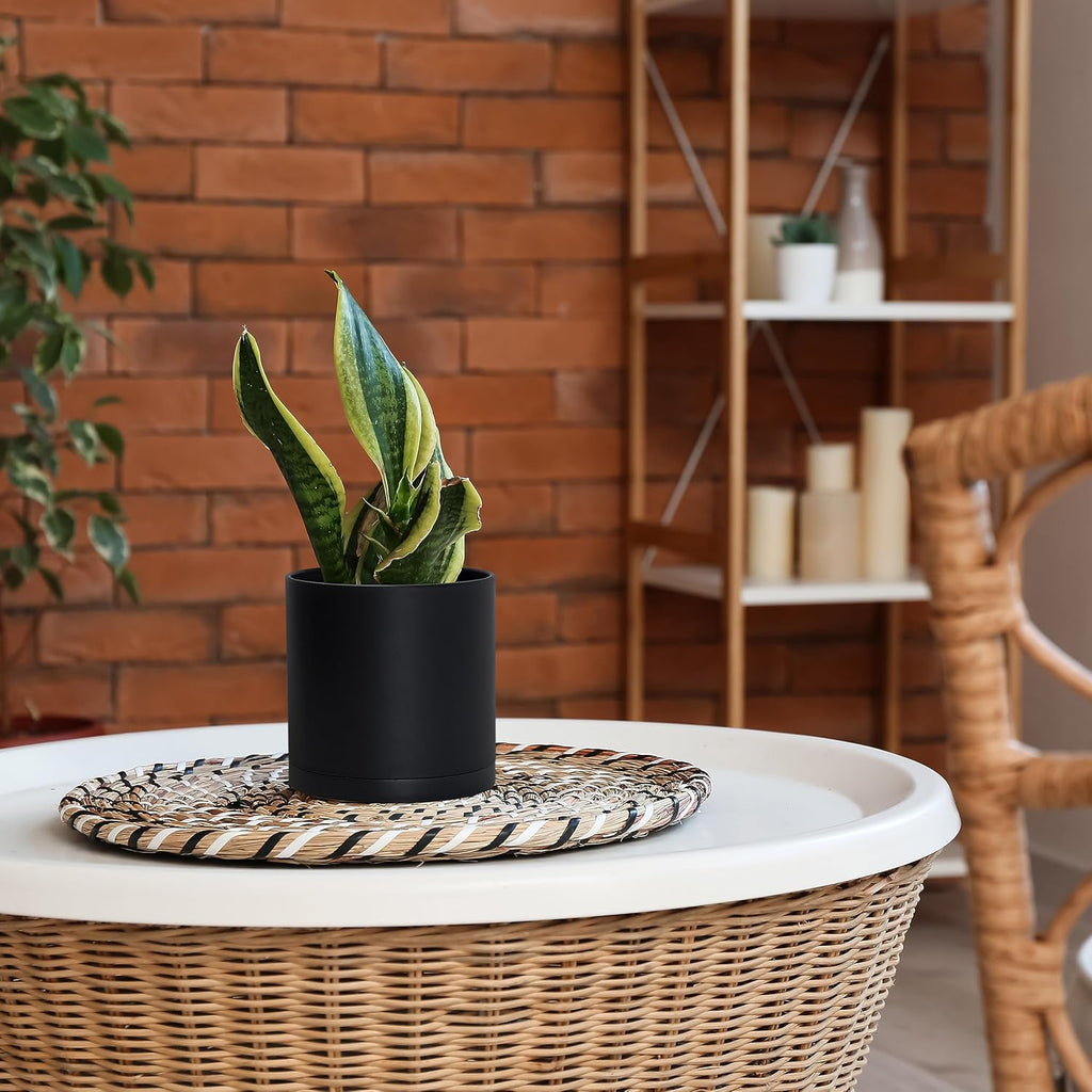 D'vine Dev 4-Pack Black Plastic Planters with Saucers, 6 in, 74-Y-J-2 | Lightweight Durable Build, Matte Finish
