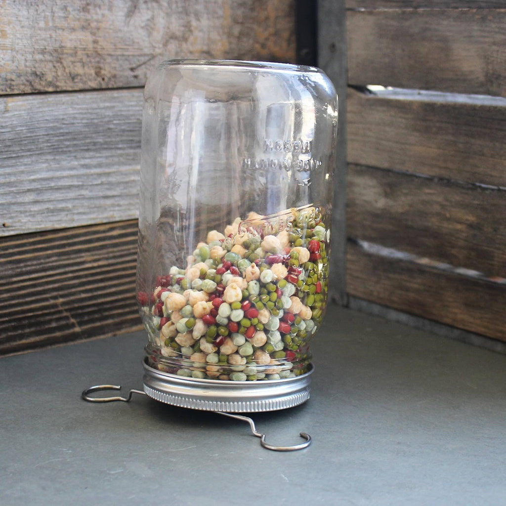 Stainless Steel Sprouting Kit 4 Pack Rust Proof 316 Stainless | With Sprouting Stands, Curved Mesh, Fits Most Wide