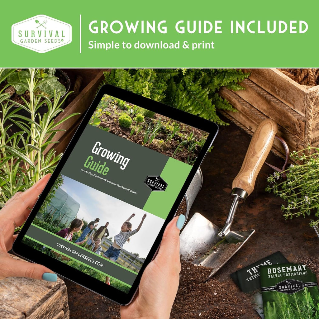 Farmer Seed Vault – 100 Packs of Seed for Heirloom Vegetable Gardens | Non-GMO Vegetables, Fruits, Herbs for Planting –