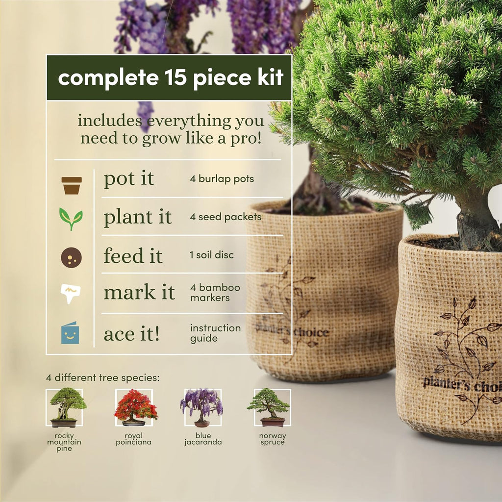 Bonsai Tree Kit for Beginners & Plant Lovers - Grow Your Own Bonsai | 4 Species Starter Kit with Burlap Pots, Shears