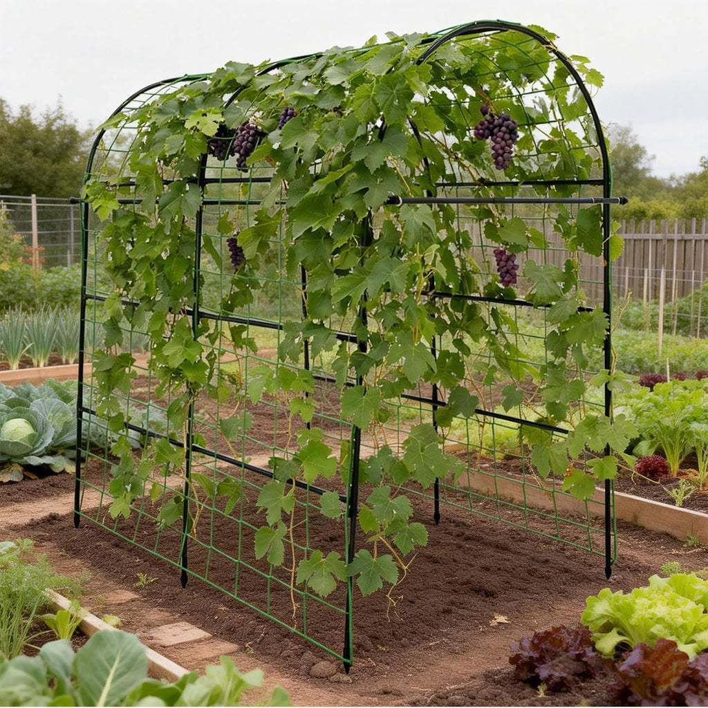 Garden Arch Trellis for Climbing Plants Outdoor - 83" H*71" W*43" L Large Rustproof Garden Trellis, Heavy Duty Grape