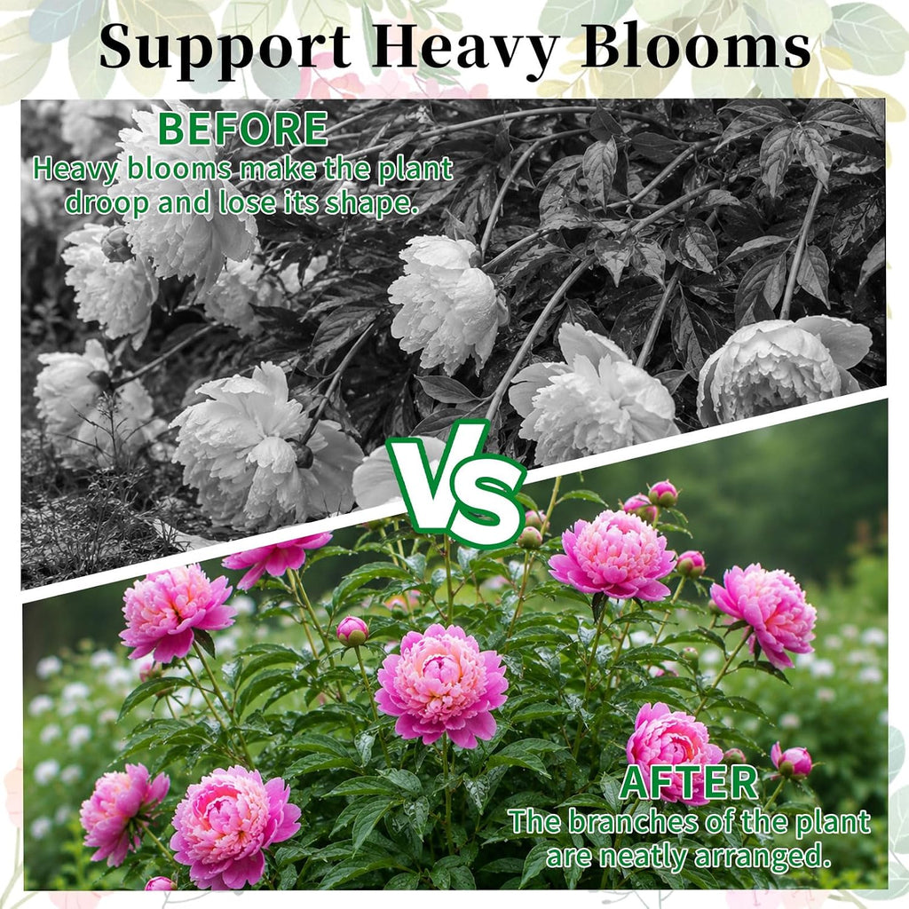 6-Pack Peony Cages and Supports, 12"x16" Plant Support Rings | Heavy-Duty Grow-Through Plant Support for Peonies
