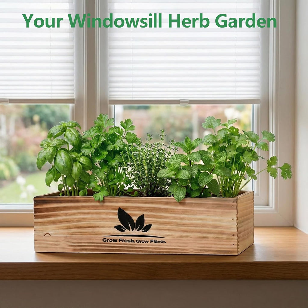 Indoor Herb Garden Starter Kit, Unique Gifts 5 Herb Garden Planter Indoor Kit with Wooden Box Including Basil