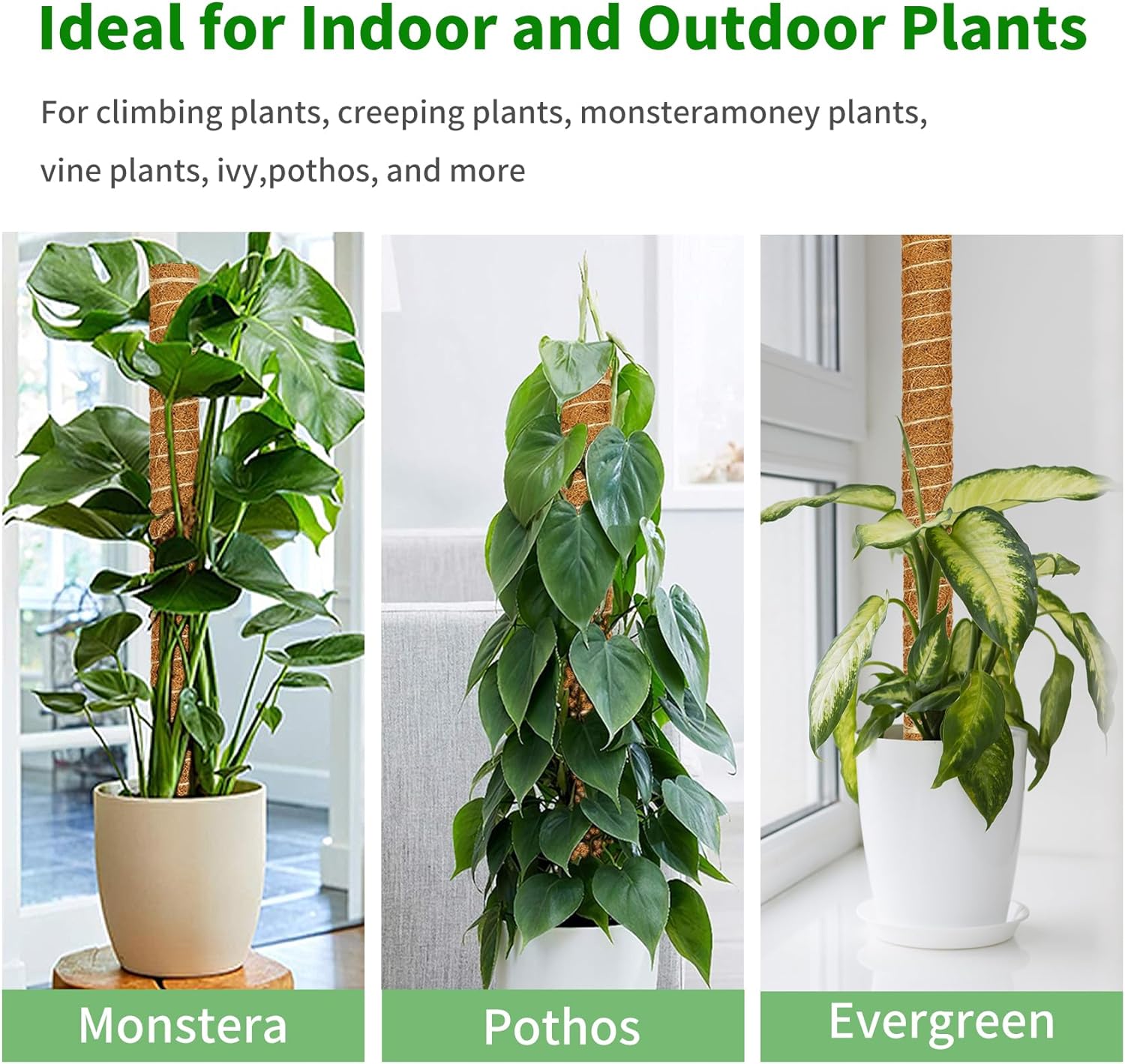 ALENEY Moss Pole, 8 Pack 17 inch Monstera Plant Support Stackable Moss Poles for Plants, Coir Totem Pole Tall Moss Pole