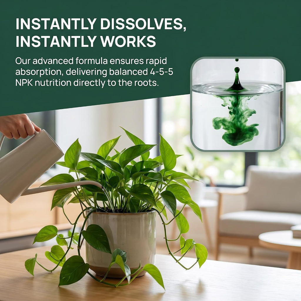 Blooma Care Plant Food,Liquid Plant Food,Liquid Plant Fertilizer - for Indoor Houseplants, All-Natural, Groundwater